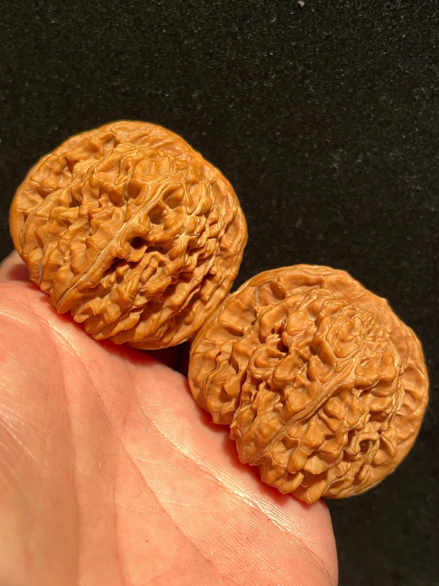 Four Towers Lion Head Walnuts