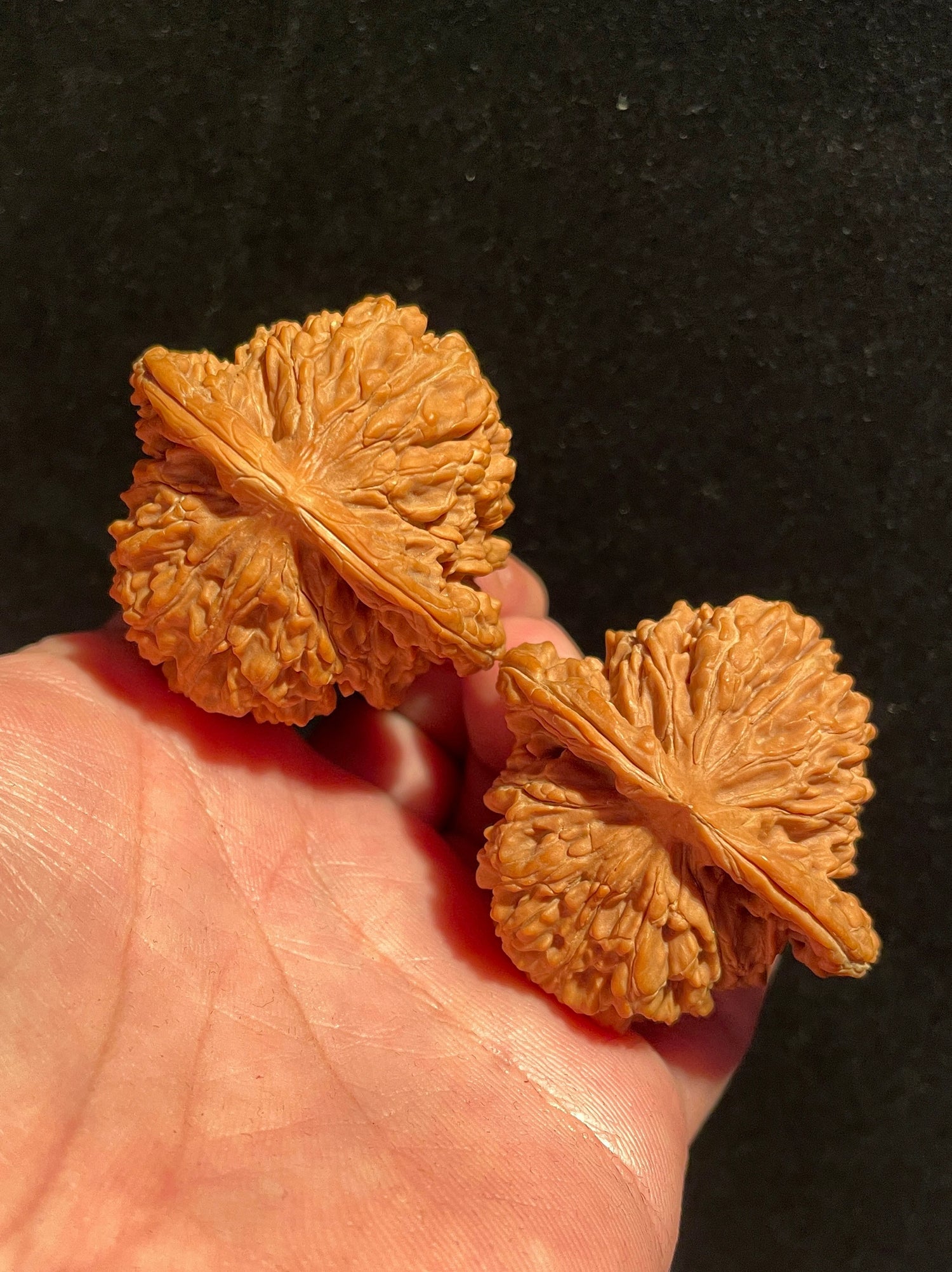 Four Towers Lion Head Walnuts