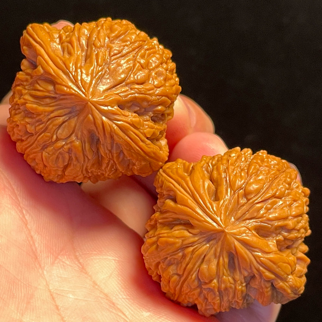 Nanjiang Stone Lion Head Walnuts
