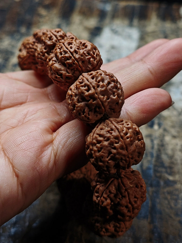 Nepal Dragon Claw Large King Kong Bodhi Bead Bracelet