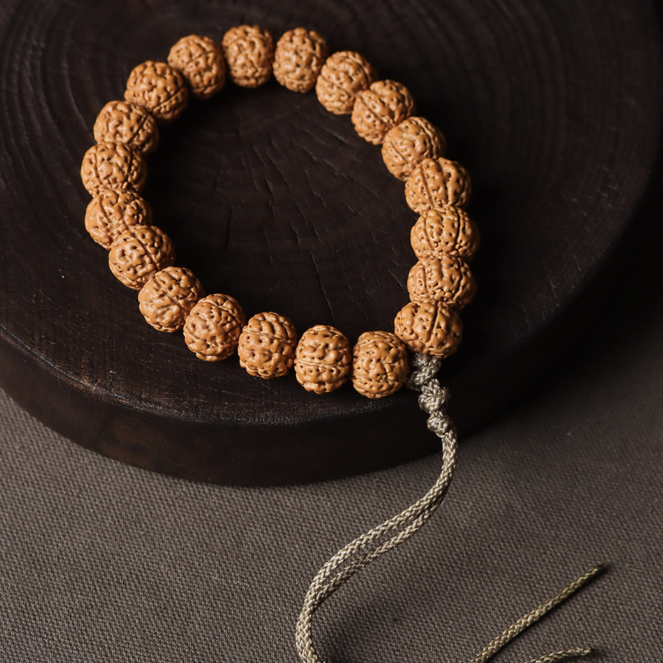 Natural Rudraksha Pumpkin Double Dragon Bracelet, 13-16mm Beads