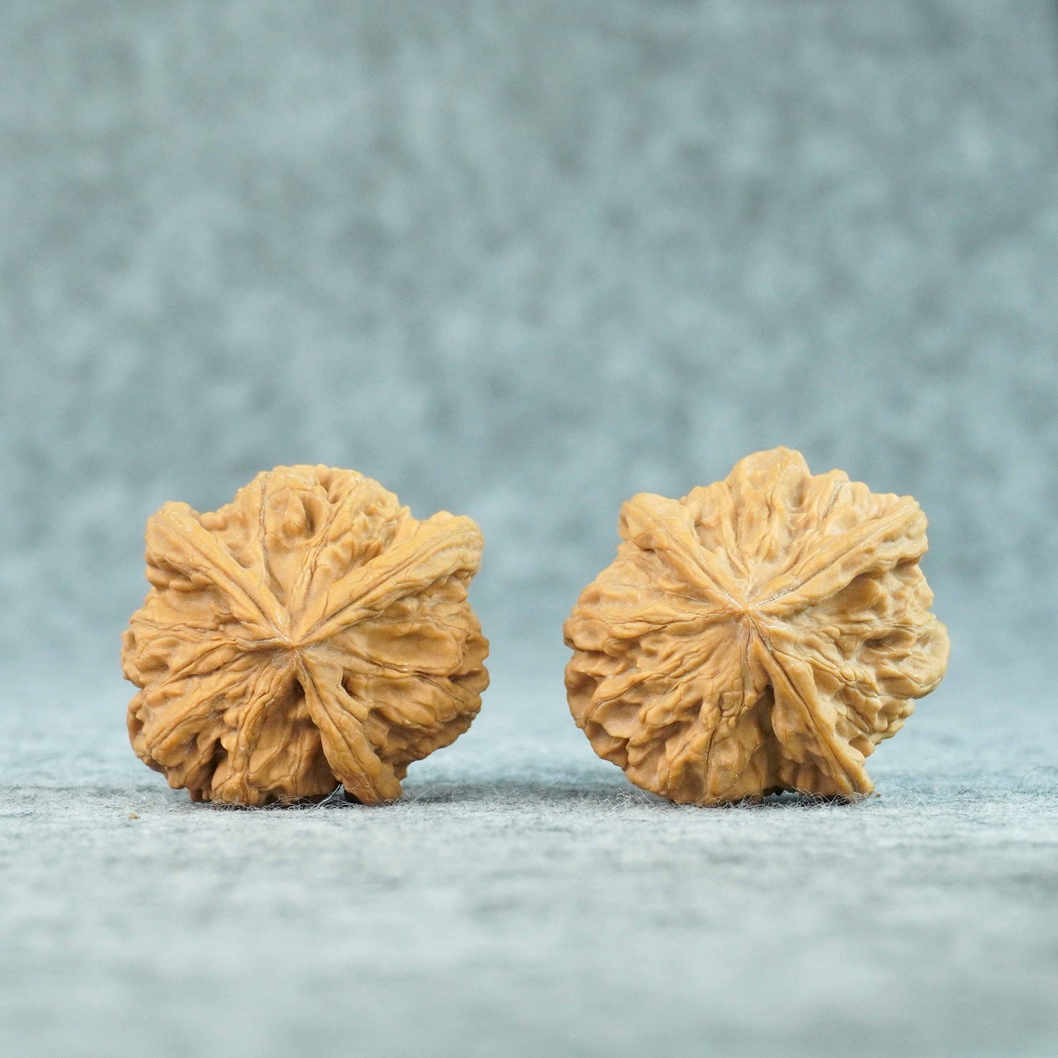 41mm Yuxi T-Shaped Three-Ridge Lion Head Walnut | One-of-a-Kind Listing | 071105