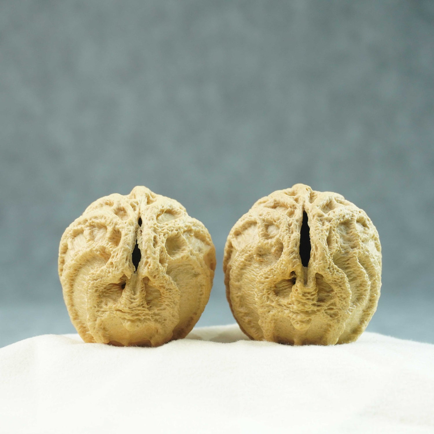 43mm Indonesian Qiankun Ghost Face Walnut | One-of-a-Kind Listing | 070209