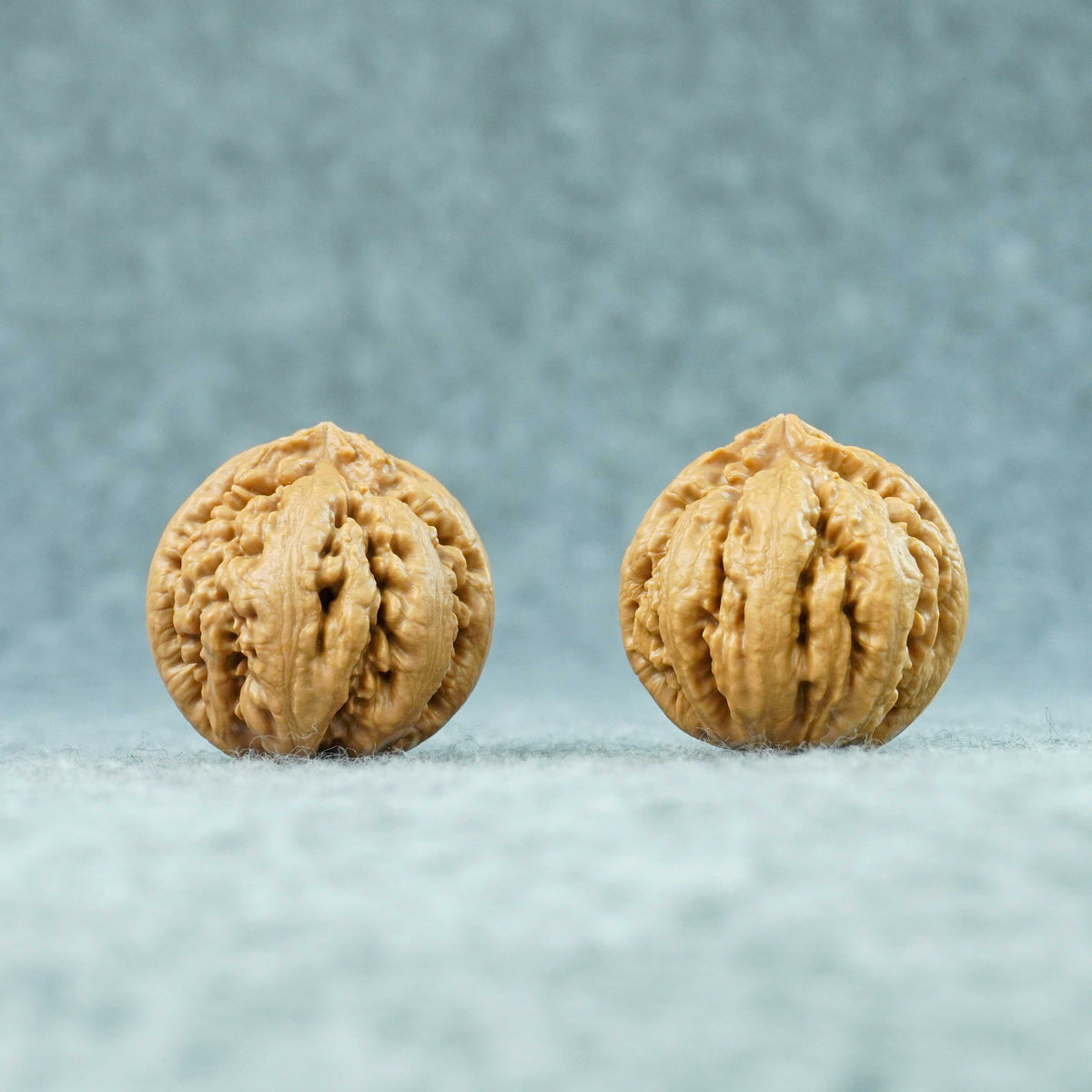 41.5mm Tyrannosaurus Walnut | One-of-a-Kind Collector Pair | 101310