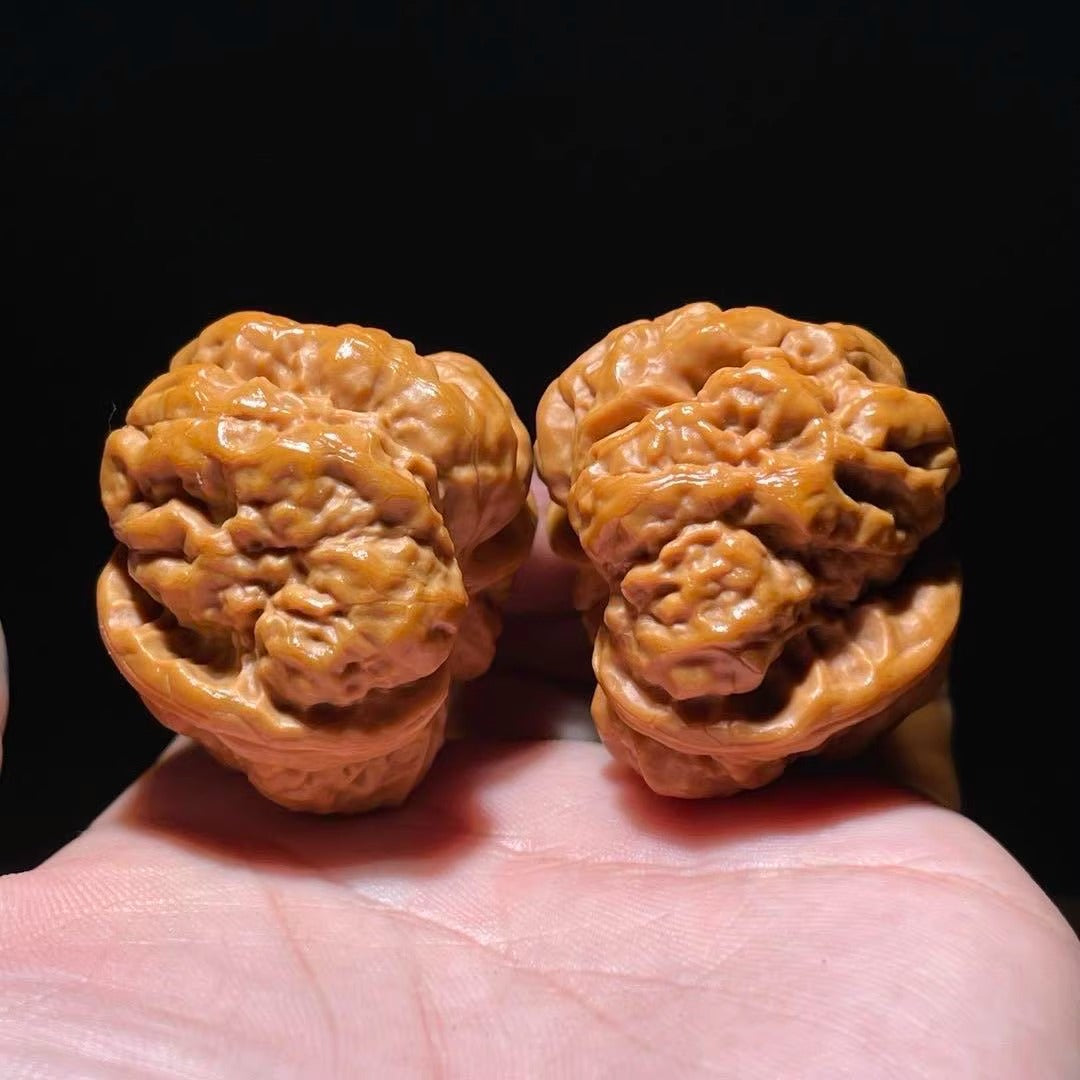 Walnut出品 Yanqing Toad Head Playing Walnuts – Classic Popular Edition