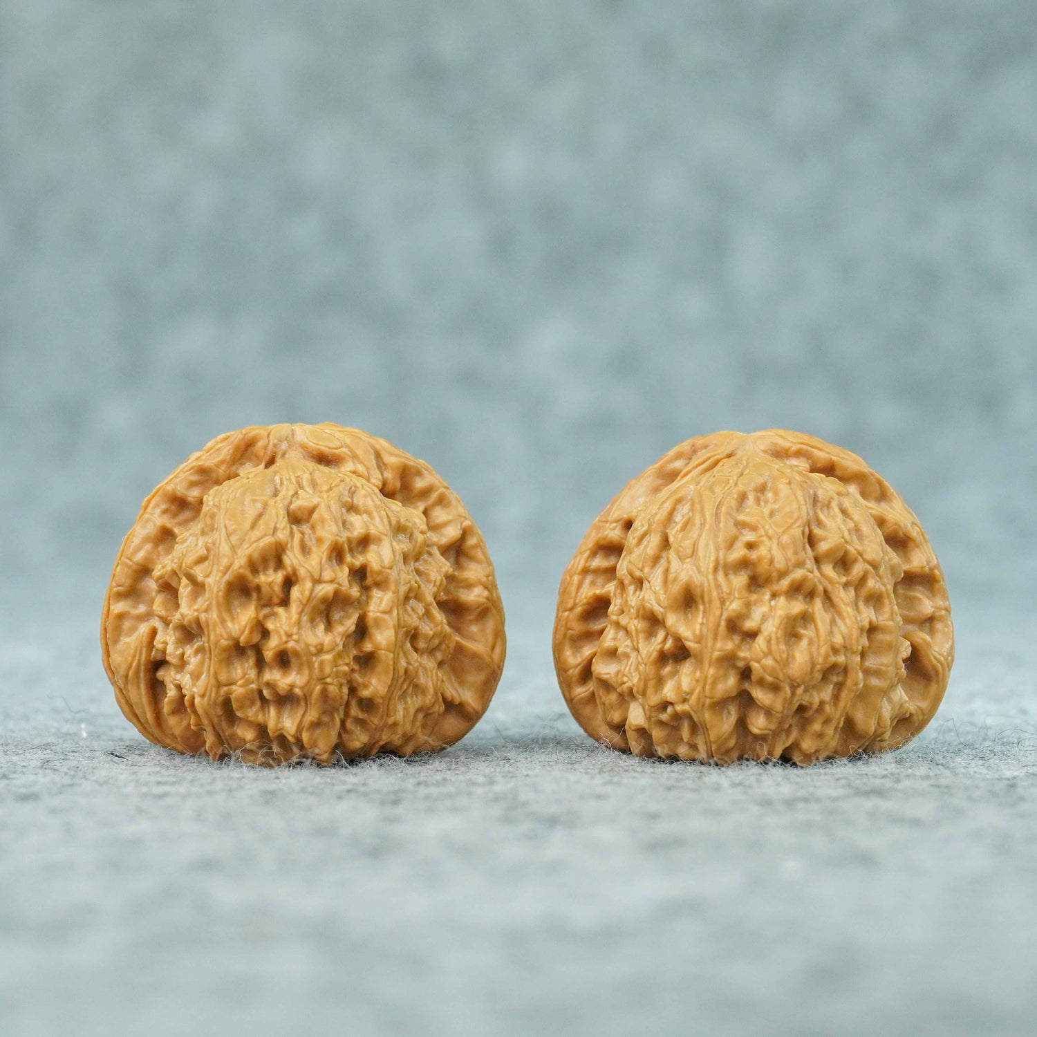 42mm White Lion Head Walnut Pair | One-of-a-Kind Listing | 072109