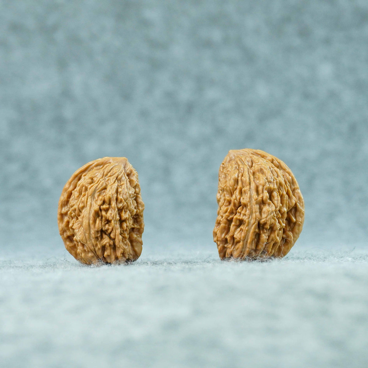 Four Towers Lion Head Half-Wall Walnut (Twin Walnut) – Half of the Empire | One-of-a-Kind Listing |101305