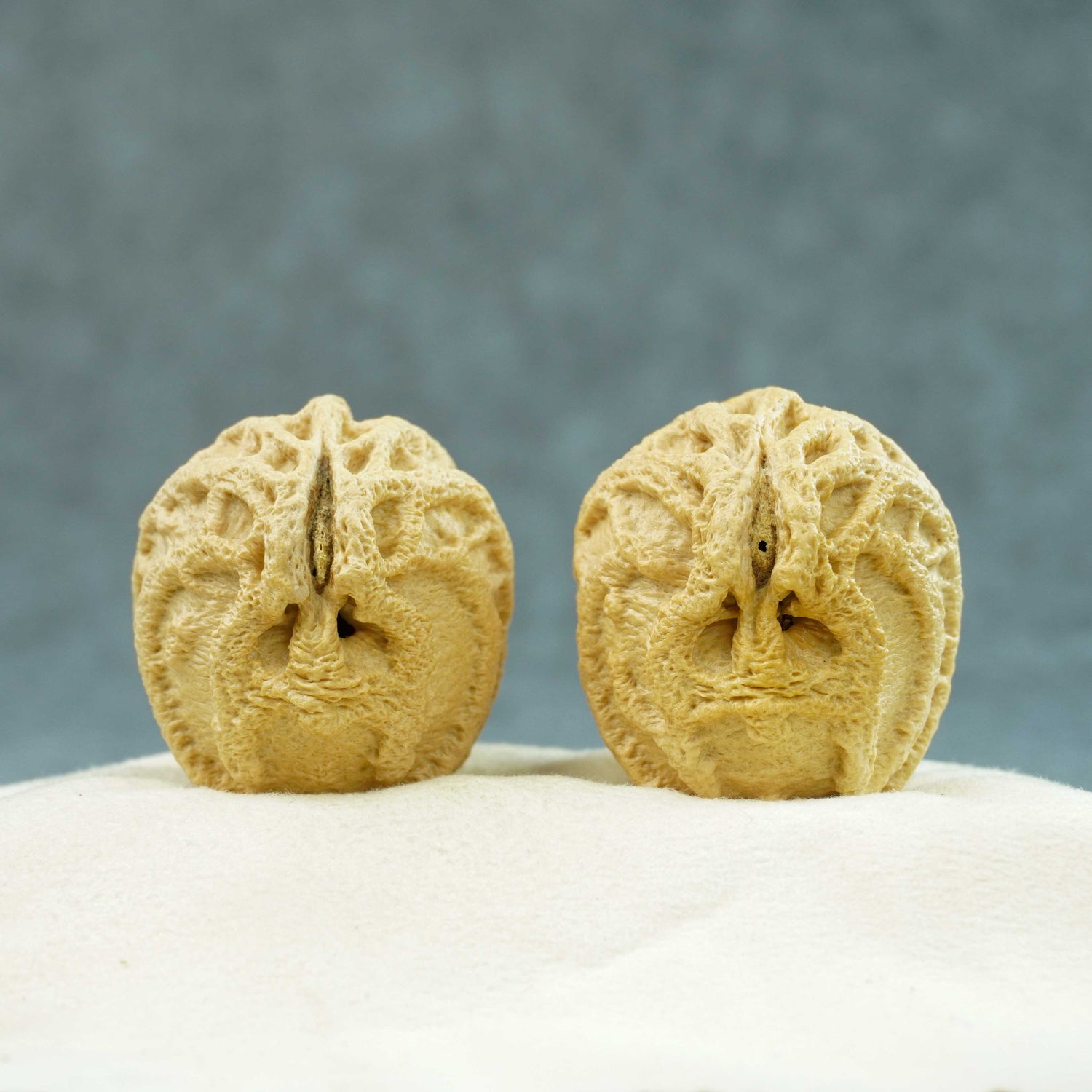 41mm Indonesian Qiankun Ghost Face Walnut | One-of-a-Kind Collector Pair | 072402