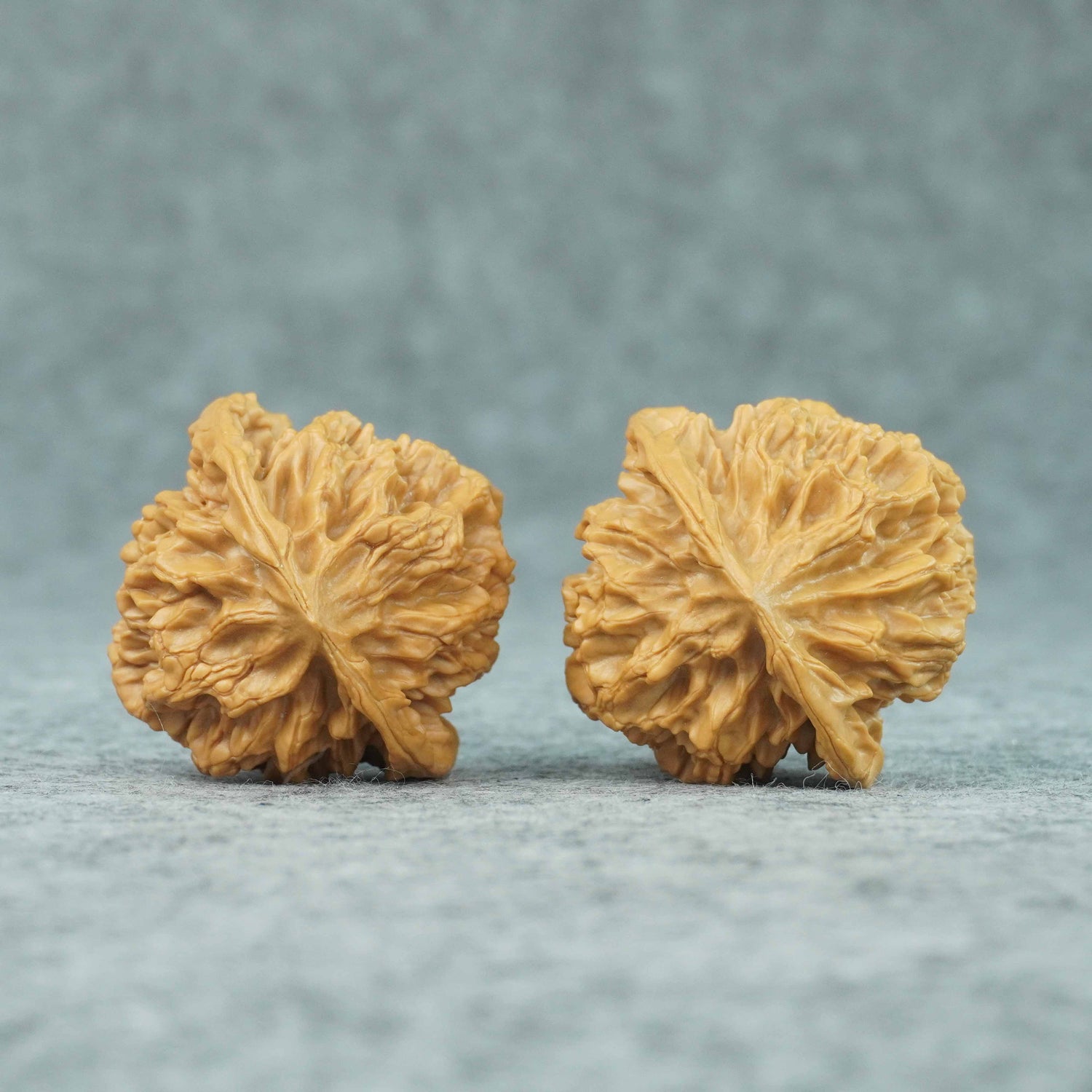 49mm Emperor Lion Head Walnut Pair | One-of-a-Kind Listing | 070803