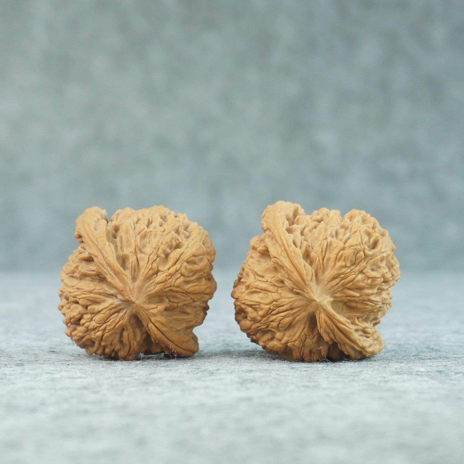 48mm Zhao Ximan Nanjiang Stone Walnut | One-of-a-Kind Listing | 070203