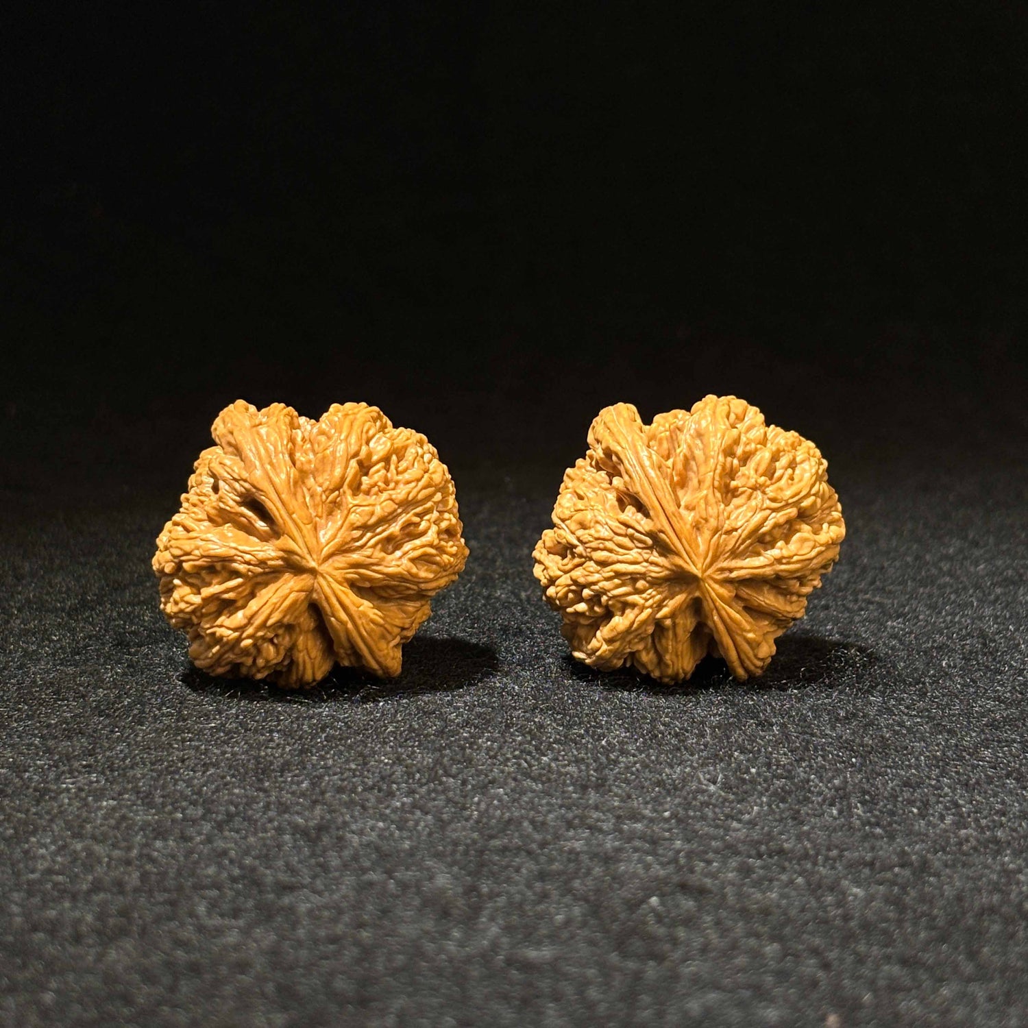 40mm Thick Ridge Lion Head Walnuts | Low Profile | One-of-a-Kind Pair | Super Value Deal | 061806