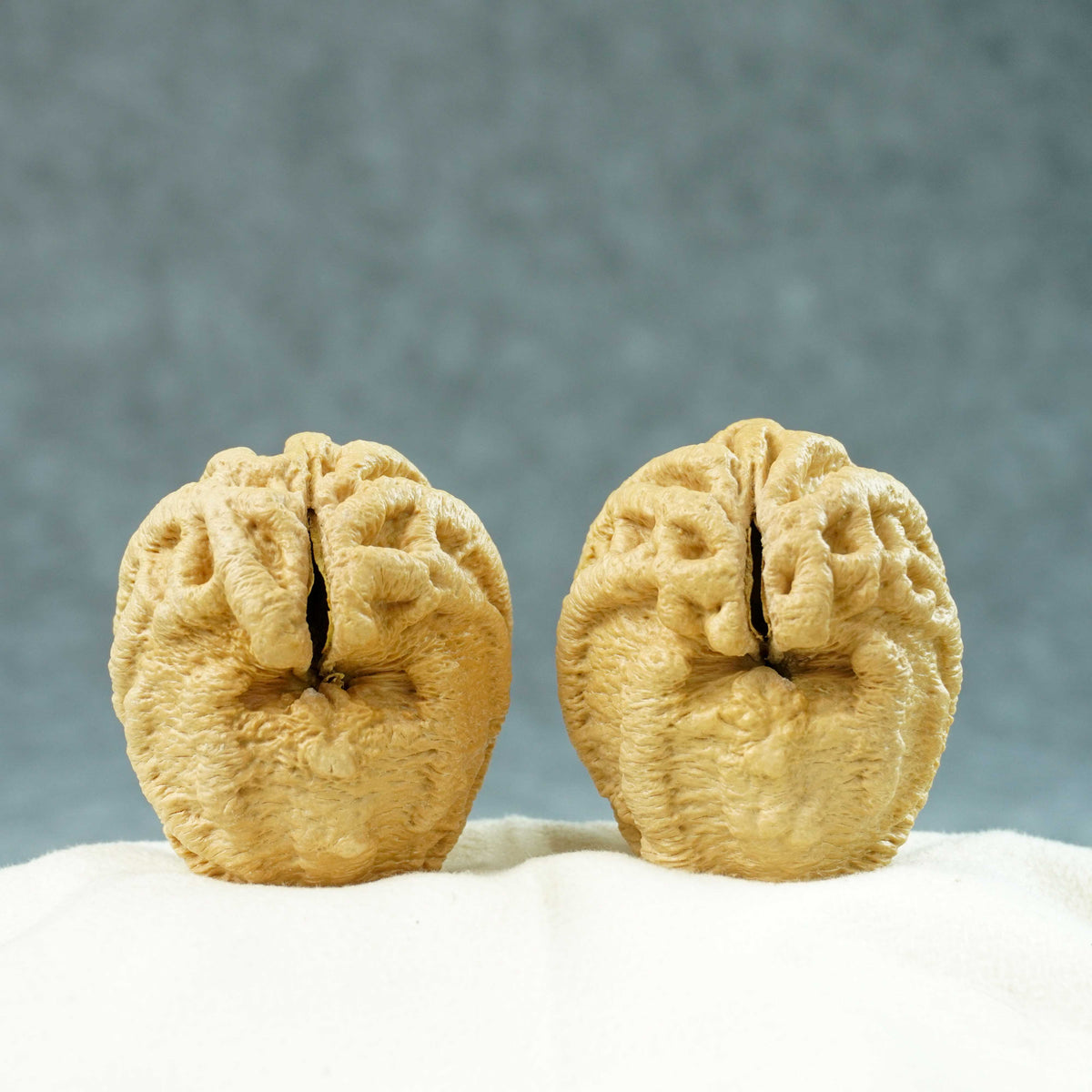 44mm Indonesian Qiankun Ghost Face Walnut | One-of-a-Kind Listing |100910