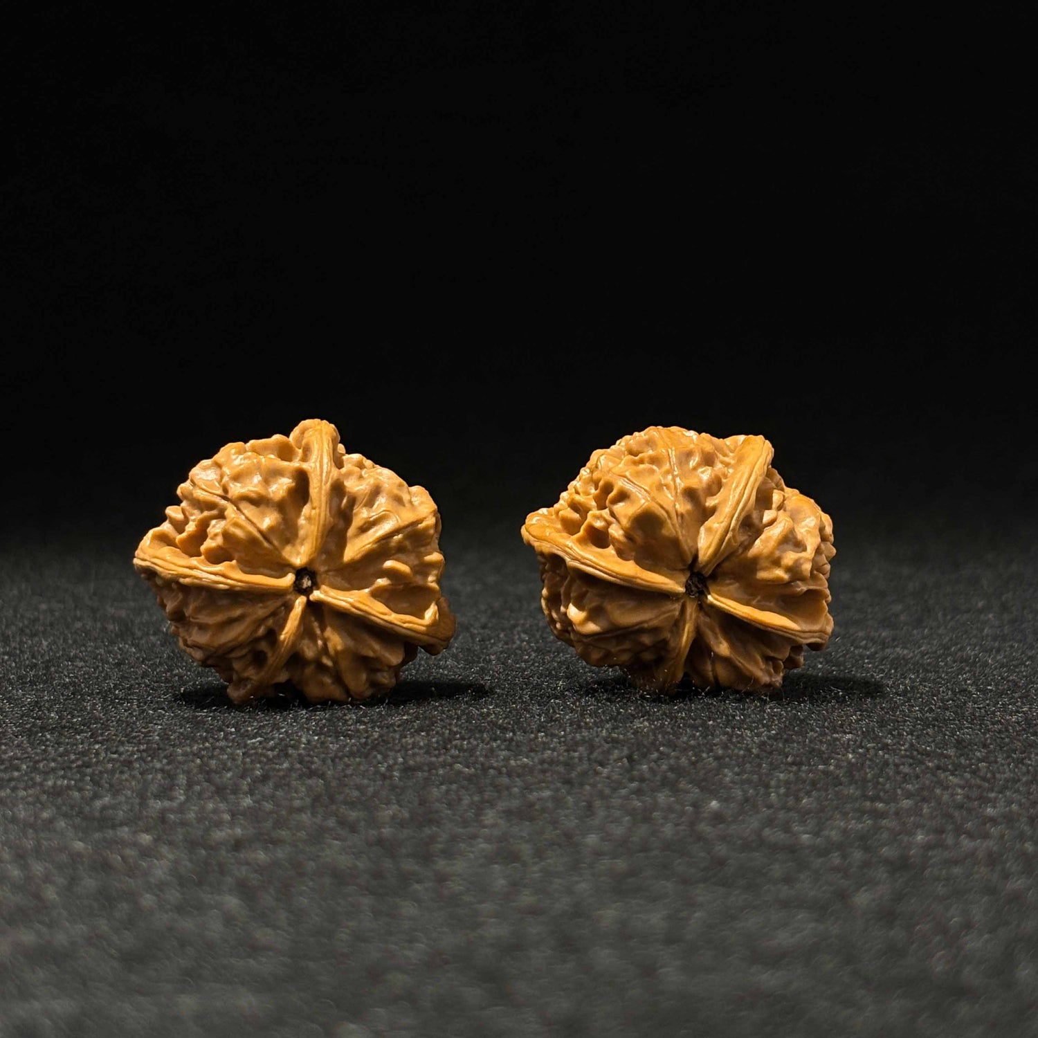 43mm Jade Seal Four-Ridge Walnut | One-of-a-Kind Listing