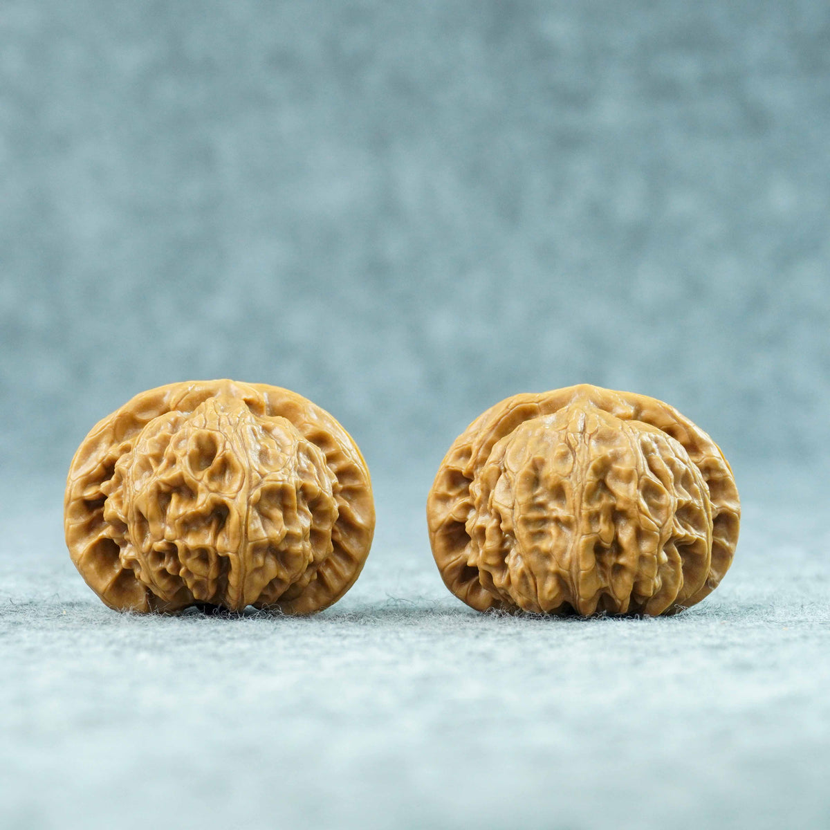 44mm Palace Lantern Lion Head Walnut Pair | One-of-a-Kind Listing | 090801