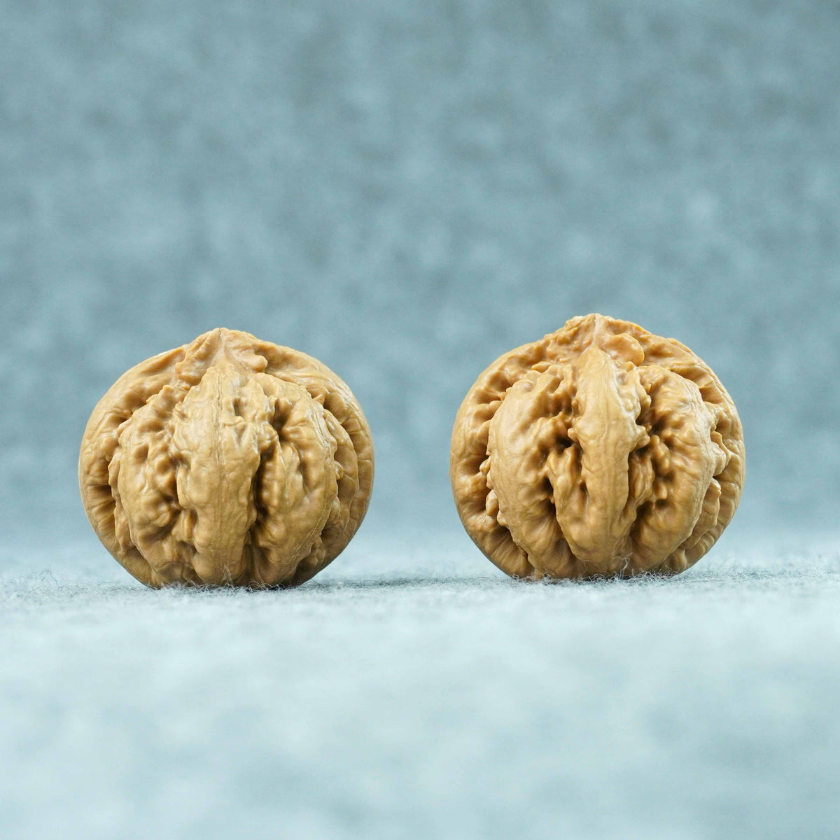 43.5mm Tyrannosaurus Walnut | One-of-a-Kind Collector Pair |101503