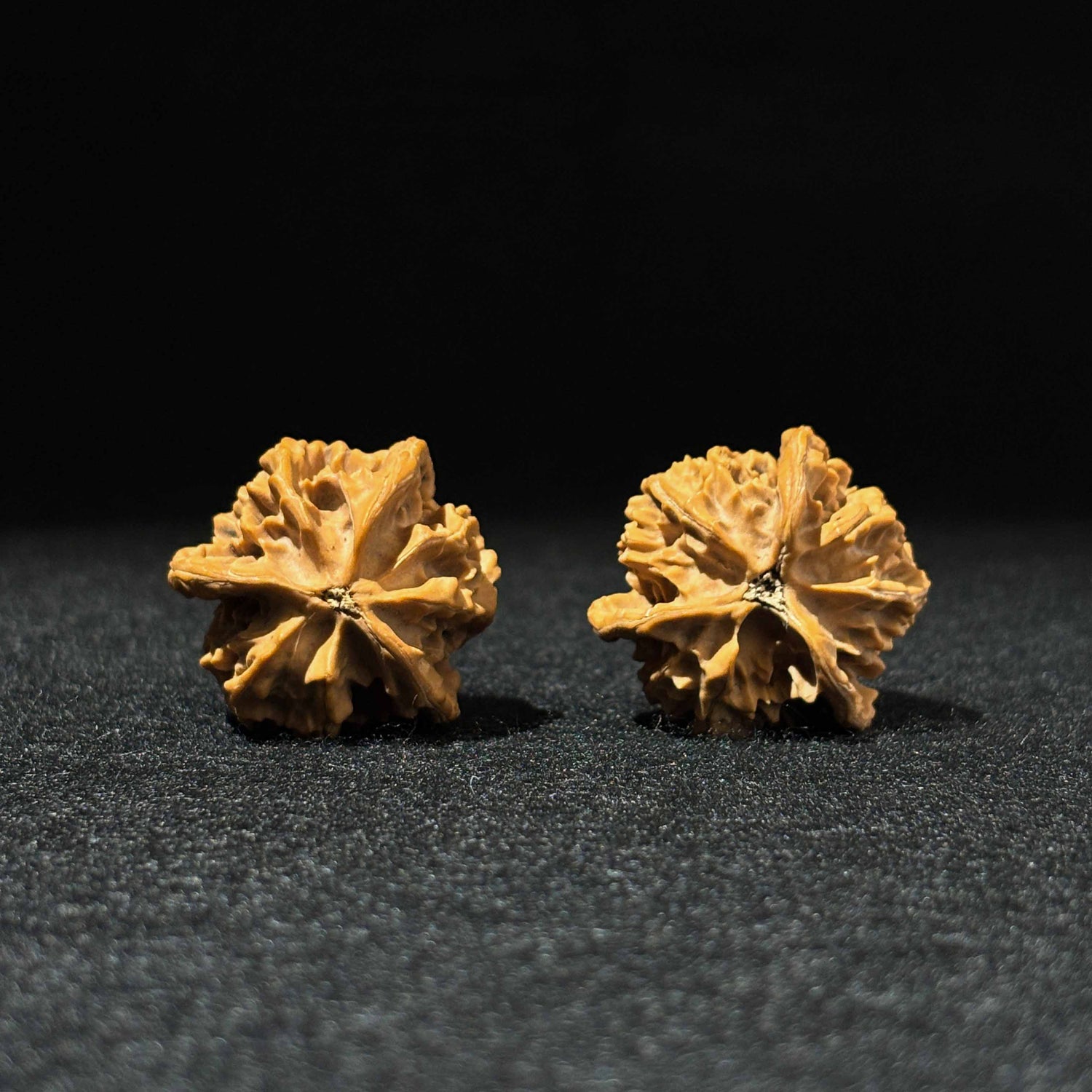 37mm Panshan Zhengben Walnut 52006| One-of-a-Kind Listing