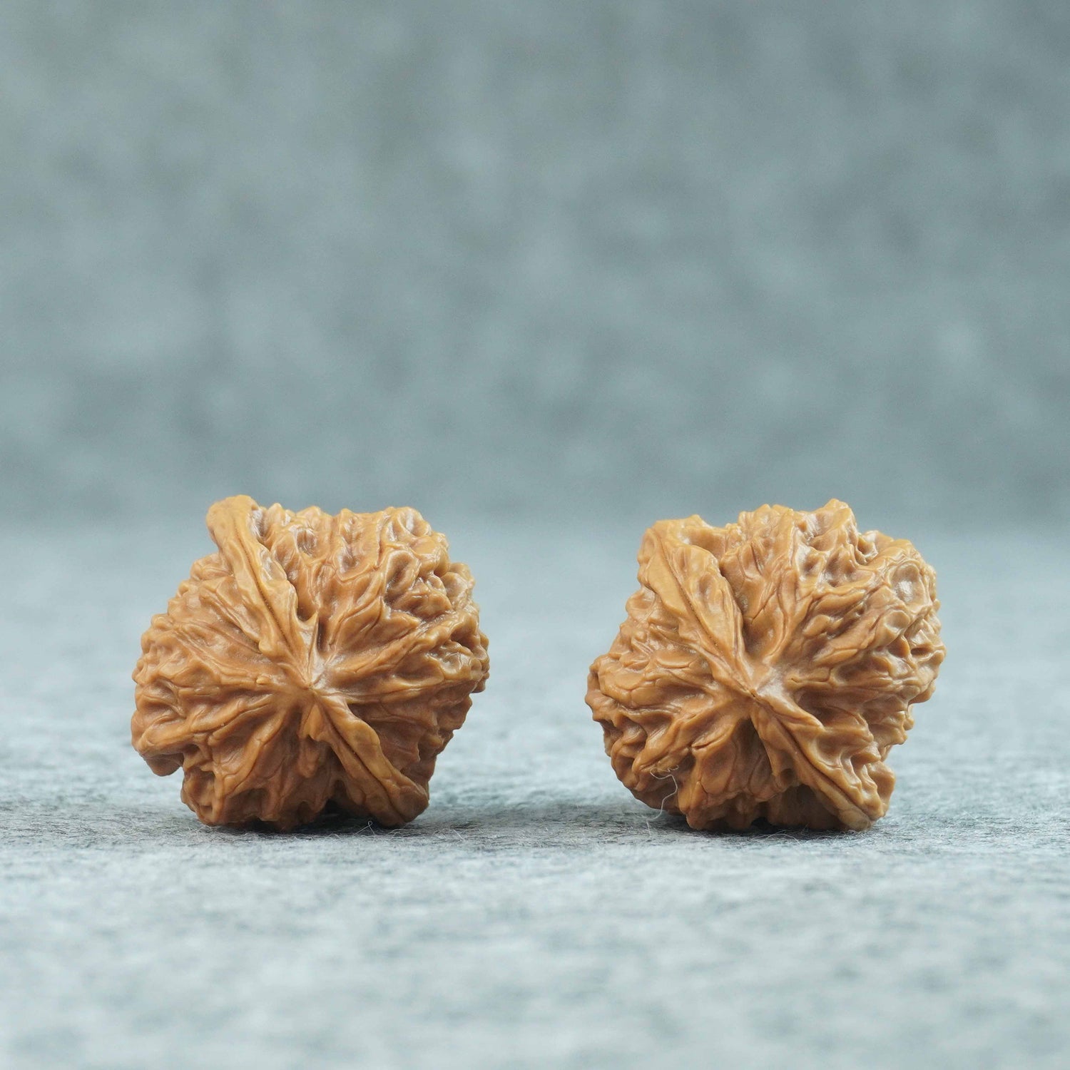 34.5mm Caviar Pattern Rolling Stone Lion Head Walnut | One-of-a-Kind Listing | 070211