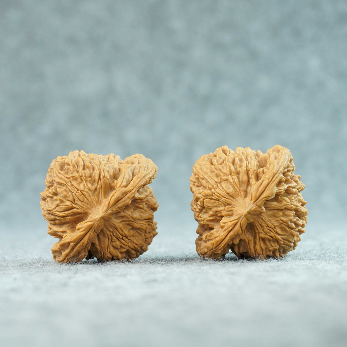 48mm Zhao Ximan Nanjiang Stone Walnut | One-of-a-Kind Listing | 092308