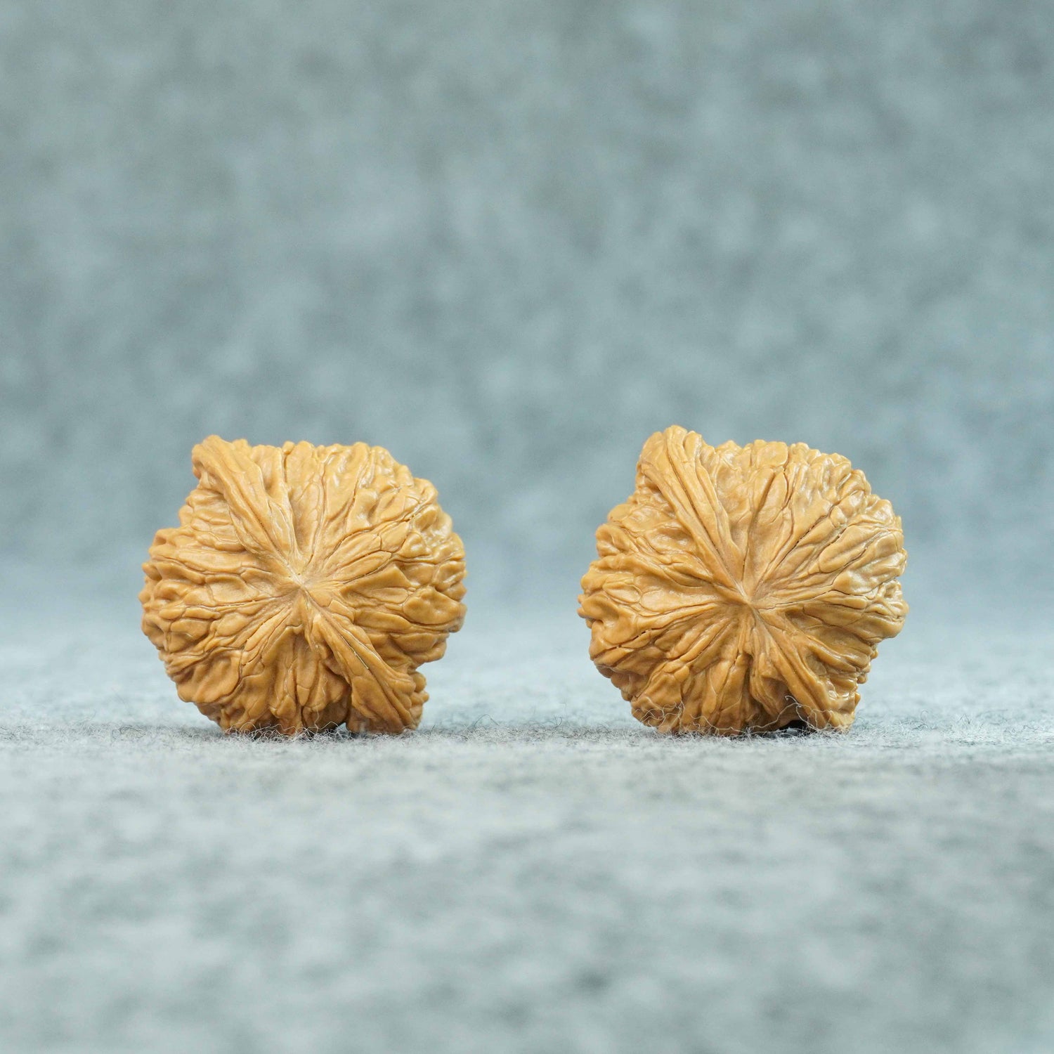 43mm Zhengmo Walnut | One-of-a-Kind Pair | 081404