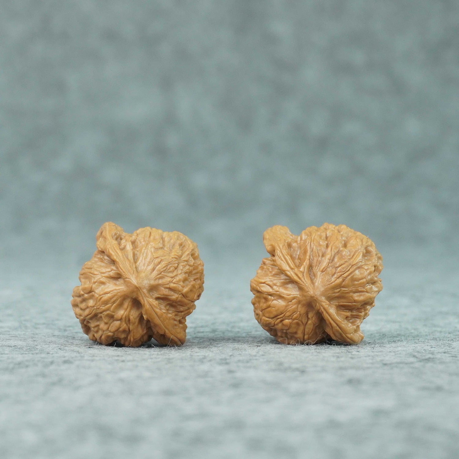 35mm Wild Wolf Walnut Pair | One-of-a-Kind Listing |070801