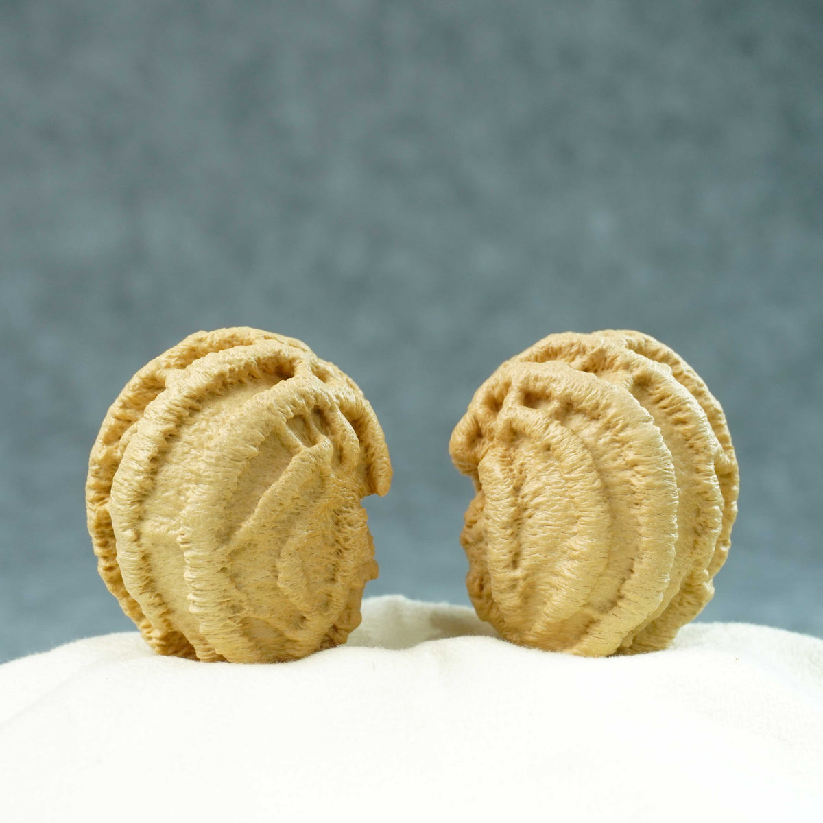 43mm Indonesian Qiankun Ghost Face Walnut | One-of-a-Kind Listing |100902