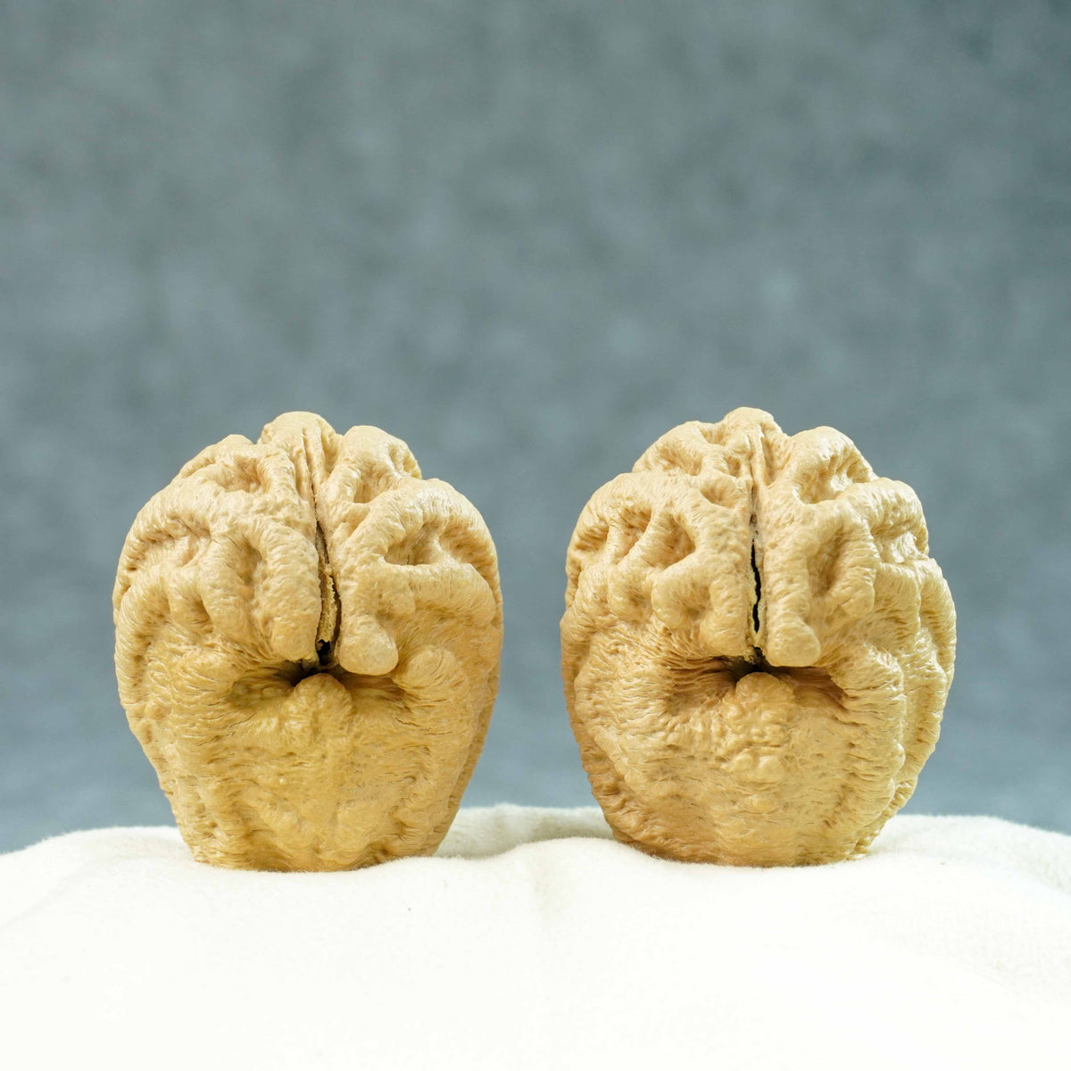 43mm Indonesian Qiankun Ghost Face Walnut | One-of-a-Kind Listing |100906