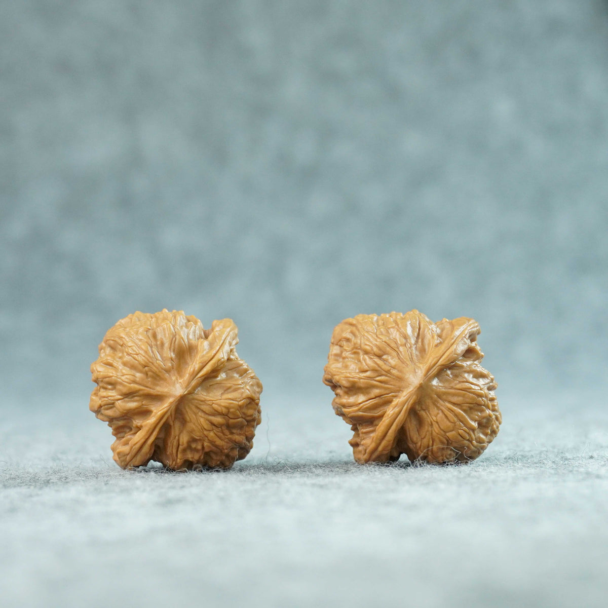 34mm Wild Wolf Walnut Pair | One-of-a-Kind Listing | 092313
