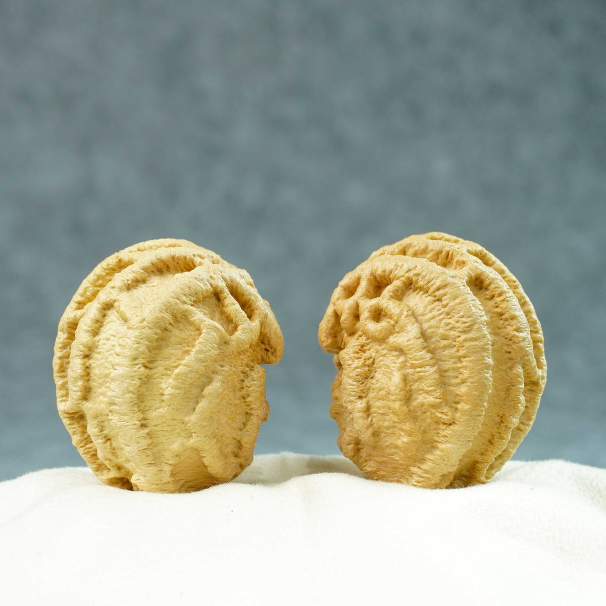 44mm Indonesian Qiankun Ghost Face Walnut | One-of-a-Kind Listing |100910