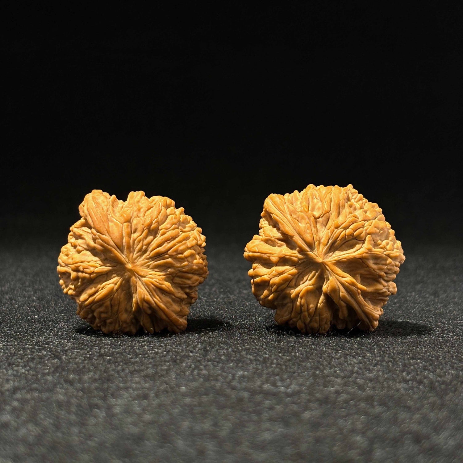 45mm Zhengmo Walnut | One-of-a-Kind Listing