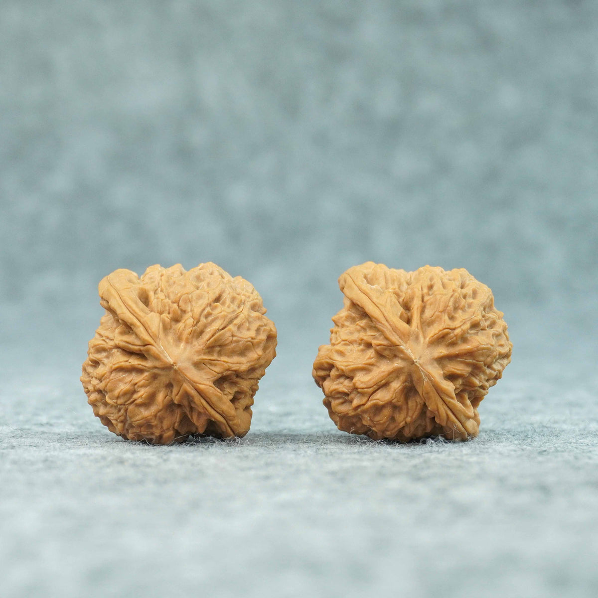 37mm Caviar Pattern Rolling Stone Lion Head Walnut | One-of-a-Kind Listing | 092414
