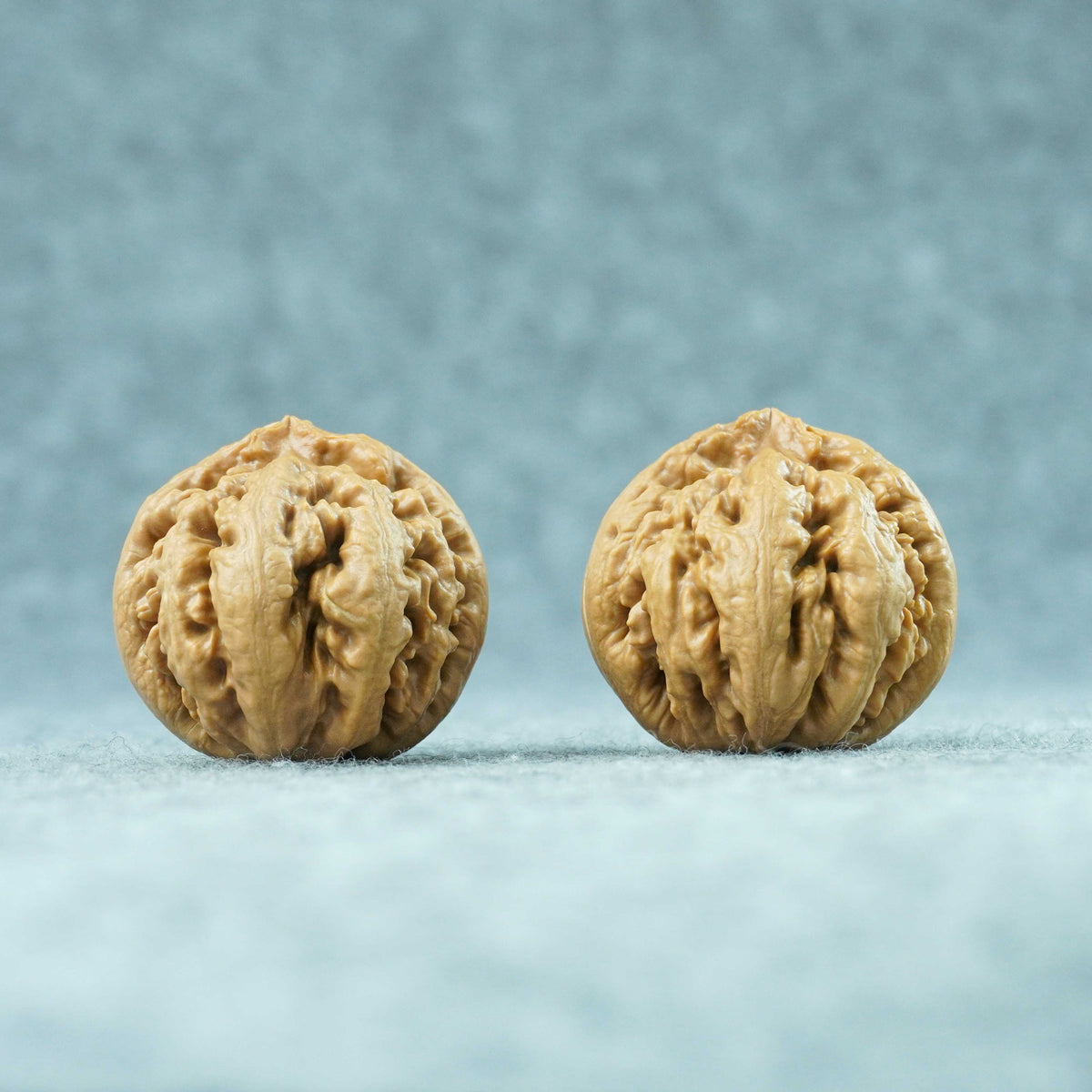 43mm Tyrannosaurus Walnut | One-of-a-Kind Collector Pair |101501