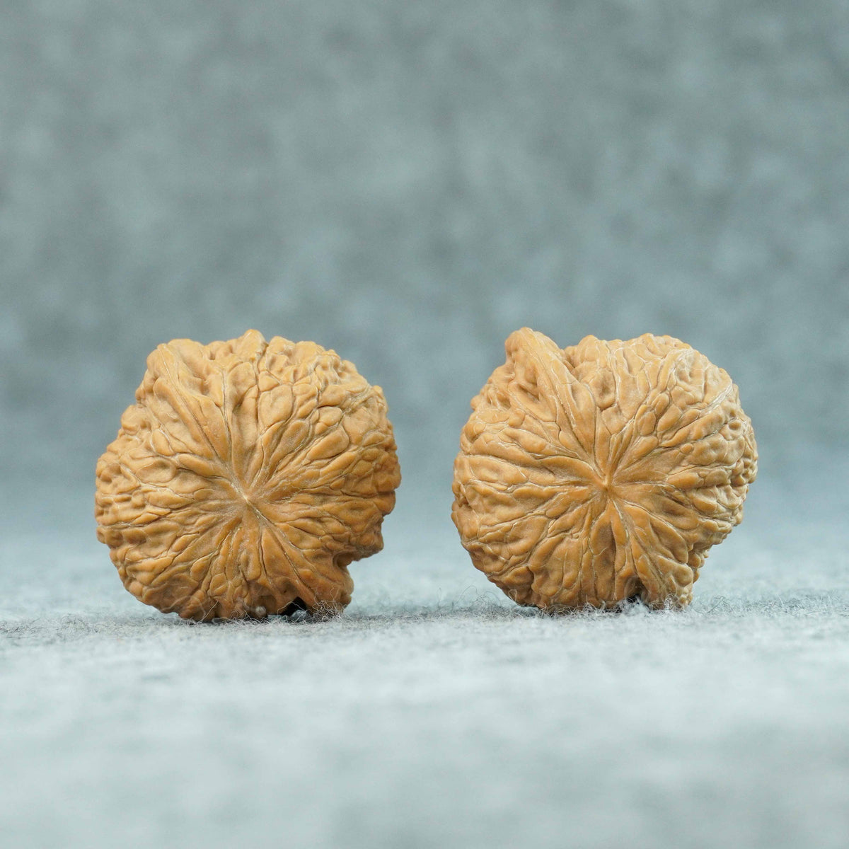 43mm Iron Hammer “Little Sister” Walnut | One-of-a-Kind Matched Pair | 092011