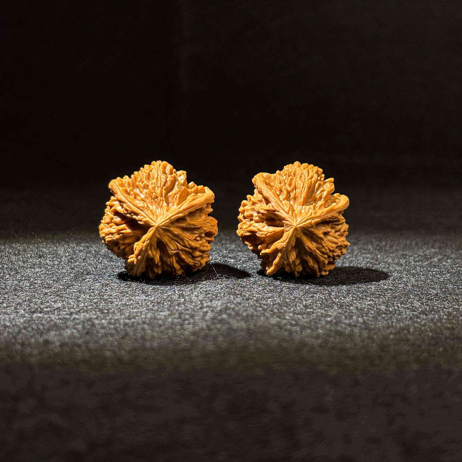 40mm Wenshan Three-Ridge Walnut | One-of-a-Kind Listing