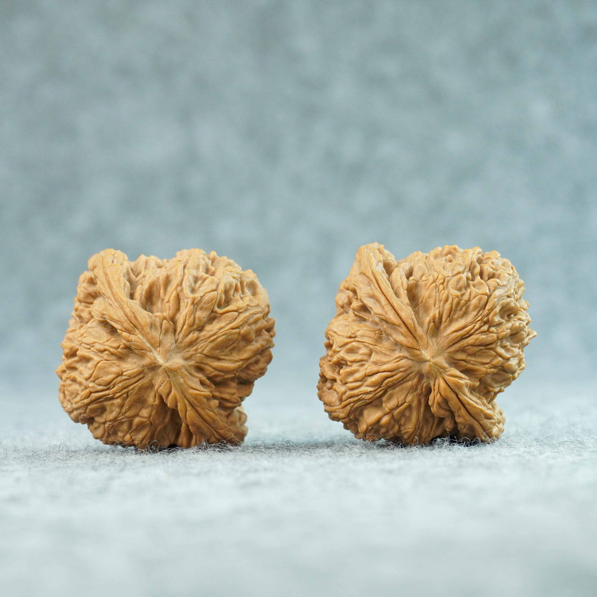 49mm Zhao Ximan Nanjiang Stone Walnut | One-of-a-Kind Listing | 092309