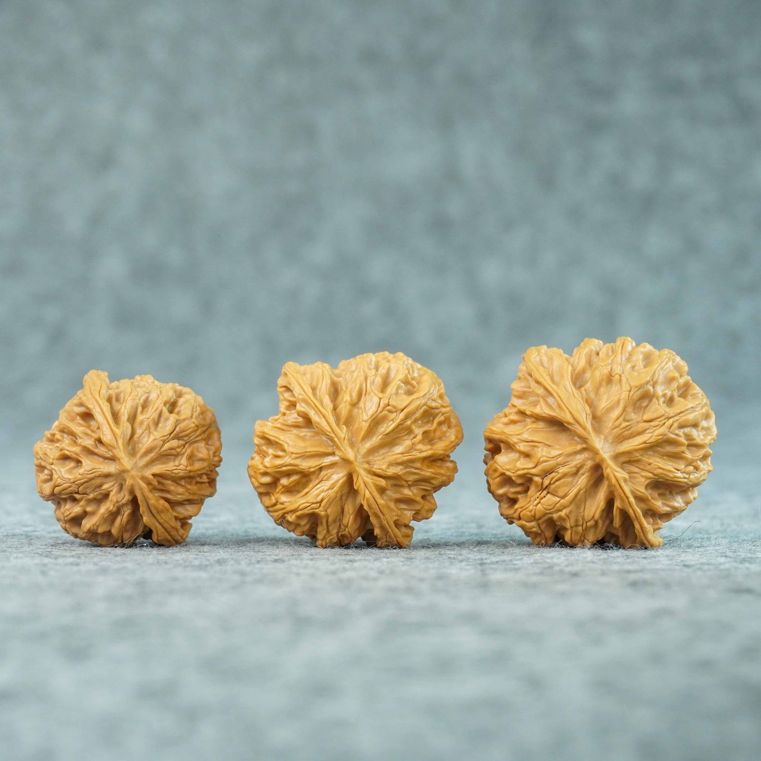 Highly Recommended — Apple Garden Lion Head Walnuts | A Timeless Classic for Collectors