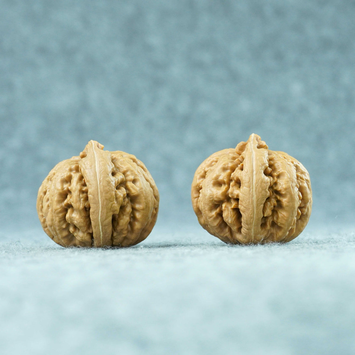 43.5mm Tyrannosaurus Walnut | One-of-a-Kind Collector Pair |101503