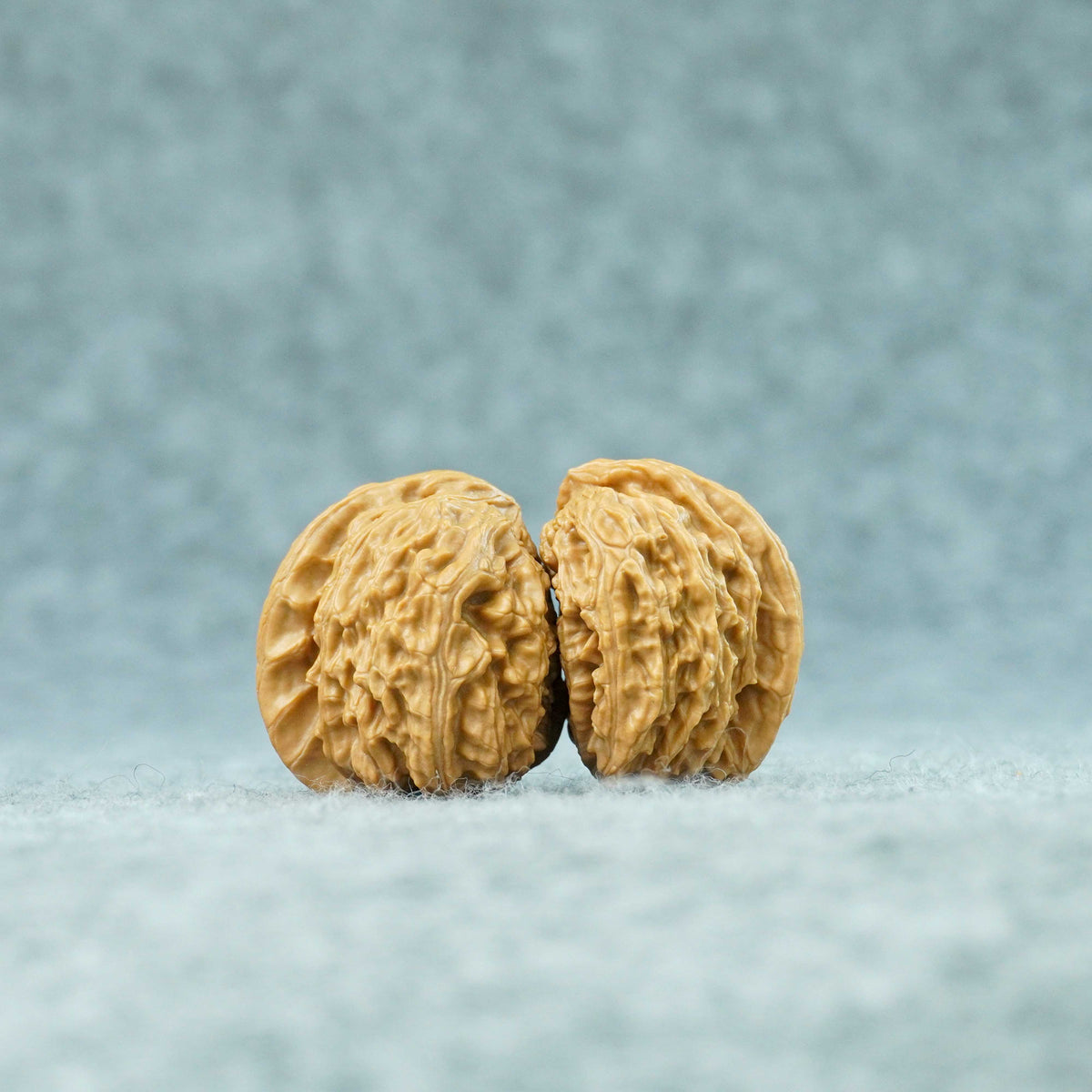 White Lion Half-Wall Walnut (Twin Walnut) – Half of the Empire | One-of-a-Kind Listing | 101304