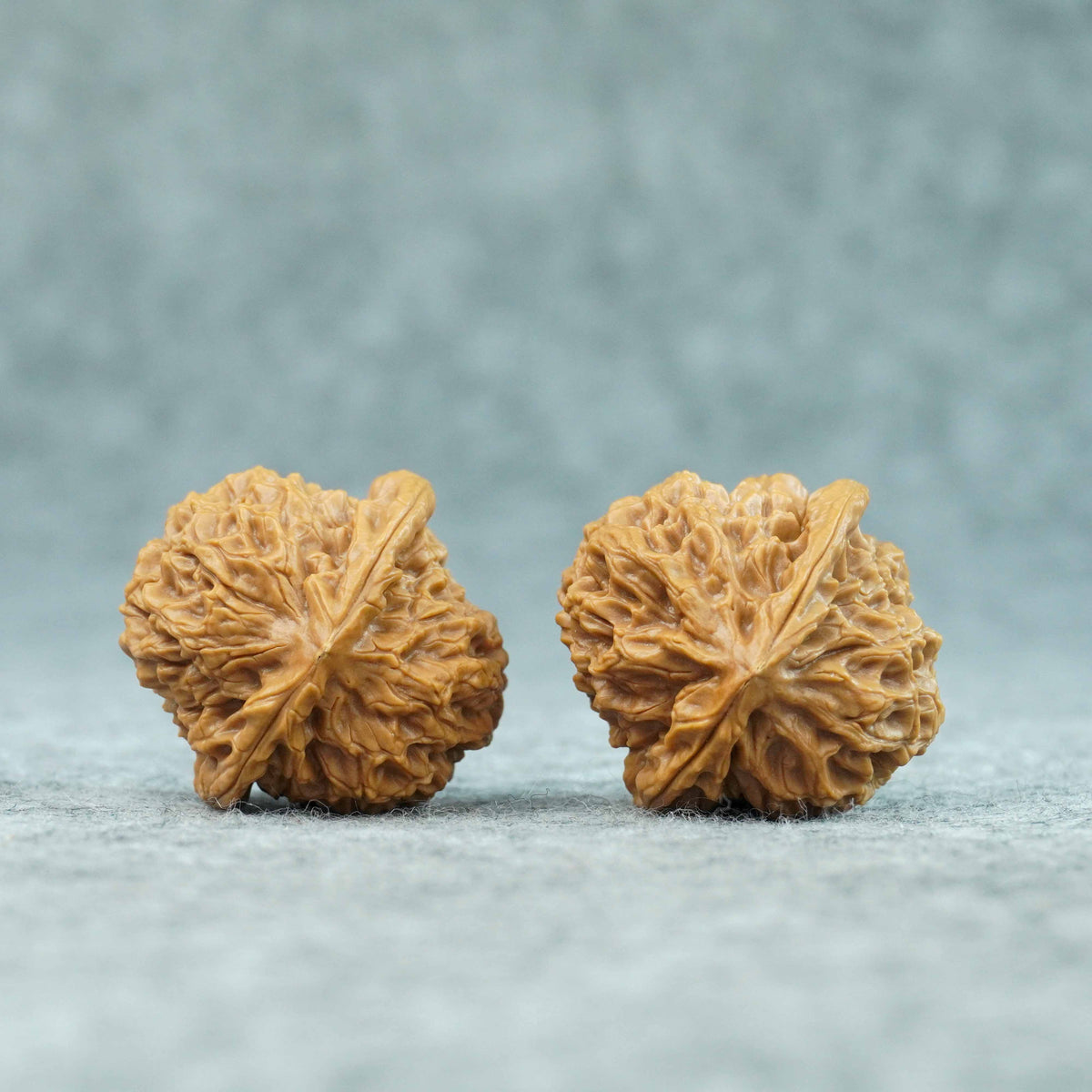 37mm Caviar Pattern Rolling Stone Lion Head Walnut | One-of-a-Kind Listing | 092412