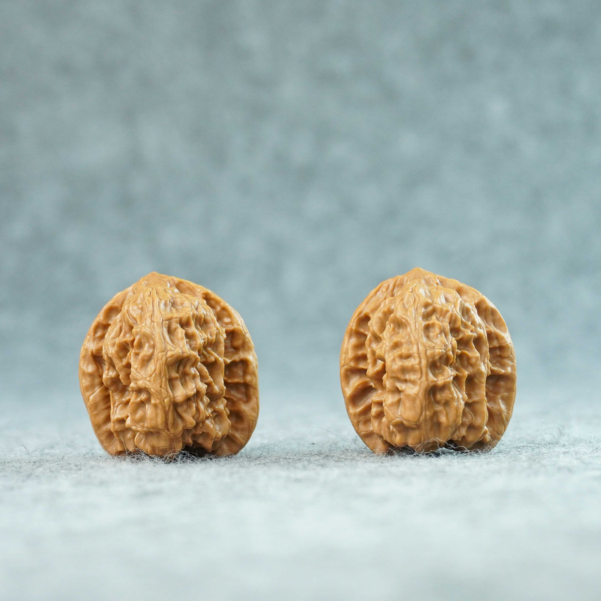 34mm Wild Wolf Walnut Pair | One-of-a-Kind Listing | 092315