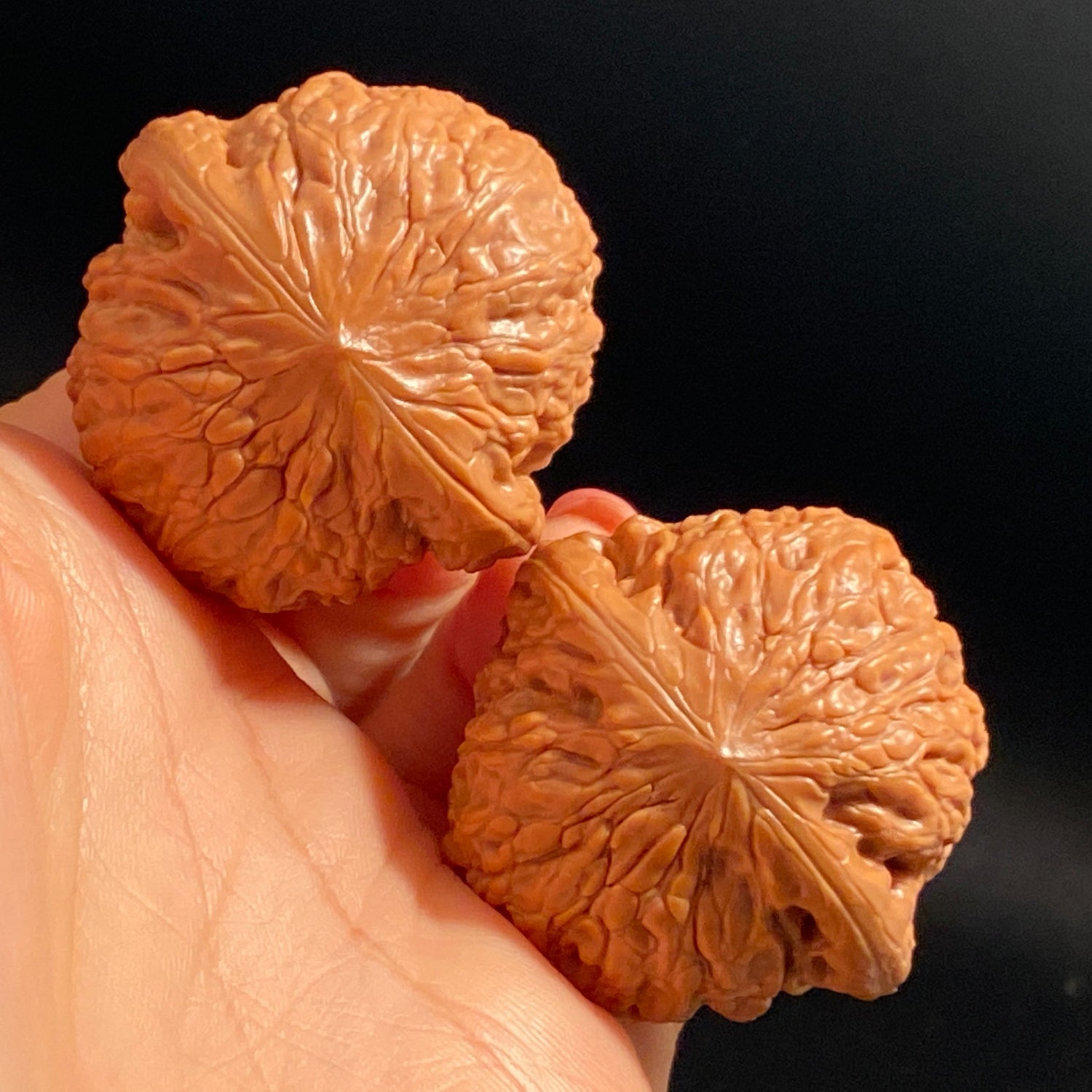 Iron Hammer “Little Sister” Wenwan Walnuts · Highly Recommended
