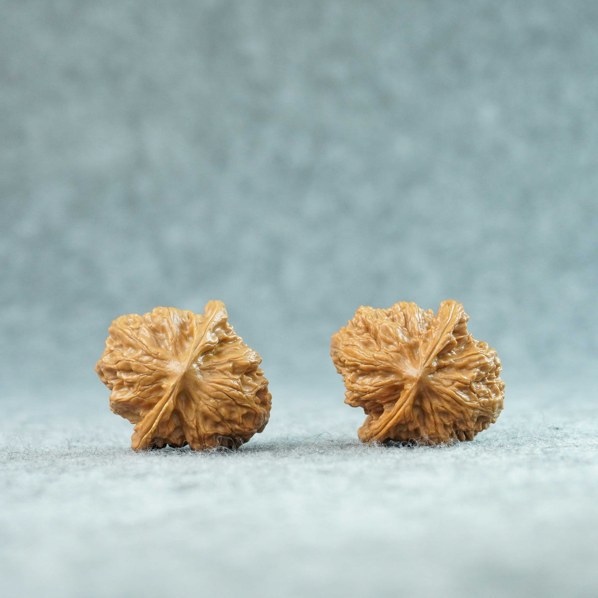 35mm Wild Wolf Walnut Pair | One-of-a-Kind Listing | 092312