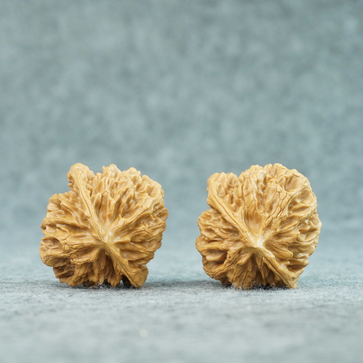 48mm Emperor Lion Head Walnut Pair | One-of-a-Kind Listing | 072101