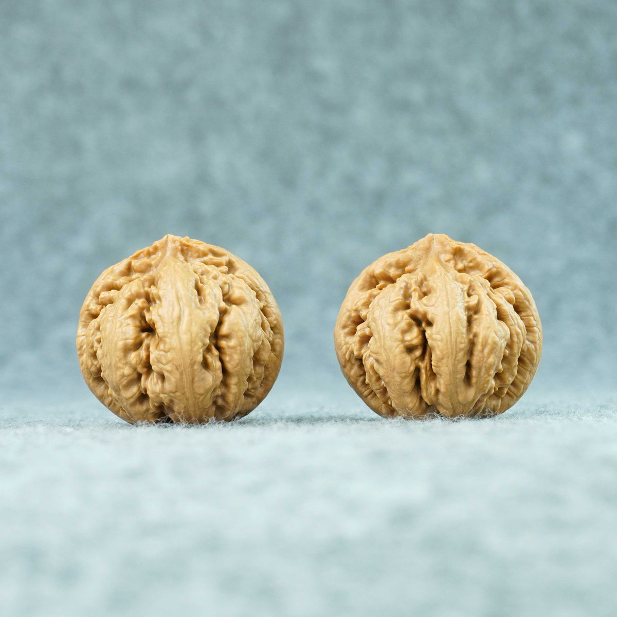 45mm Tyrannosaurus Walnut | One-of-a-Kind Collector Pair | 101309