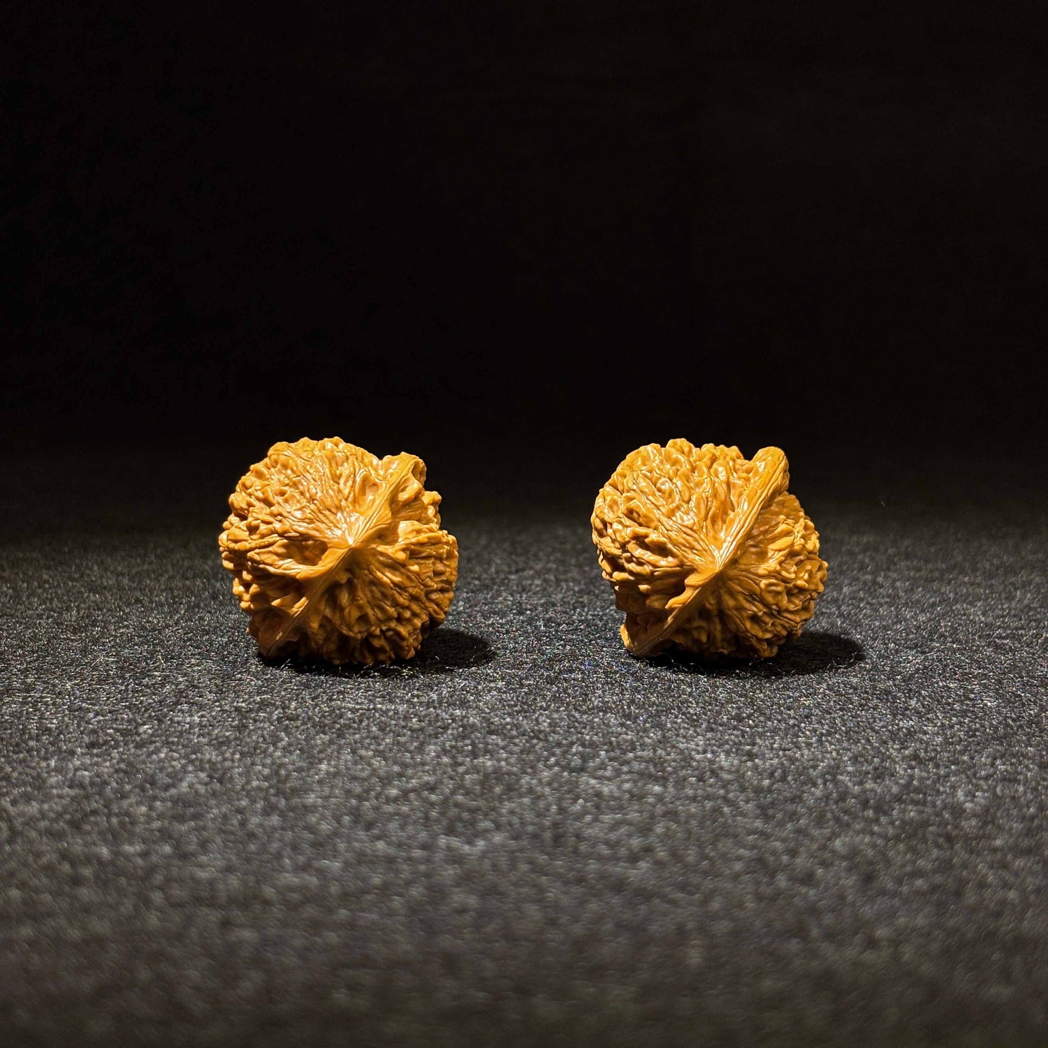37mm Golden Bull Walnut | One-of-a-Kind Listing