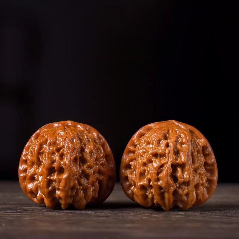 White Lion Head Playing Walnuts – Beginner Edition