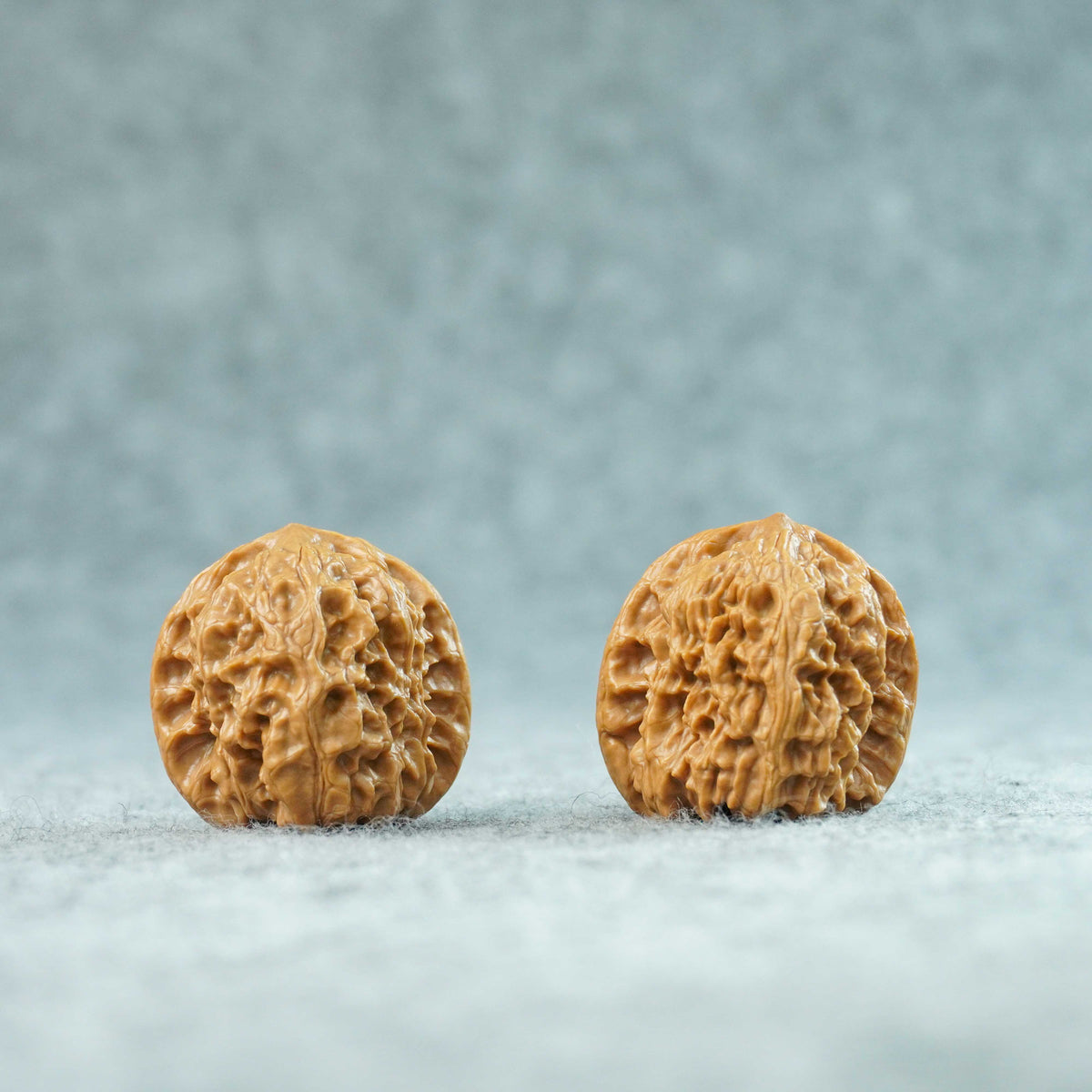 35mm Wild Wolf Walnut Pair | One-of-a-Kind Listing | 092312