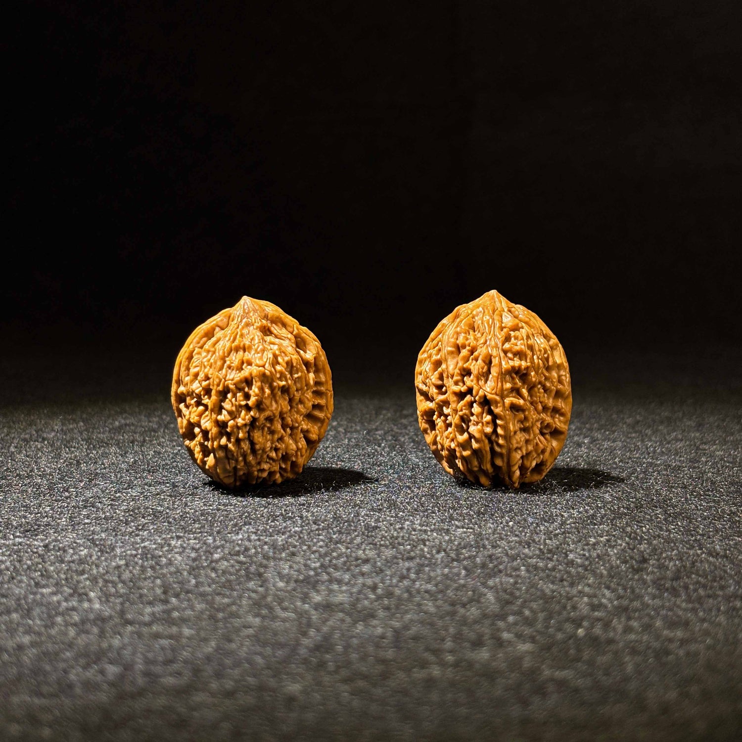 35mm Garlic-Head Walnut | One-of-a-Kind Listing