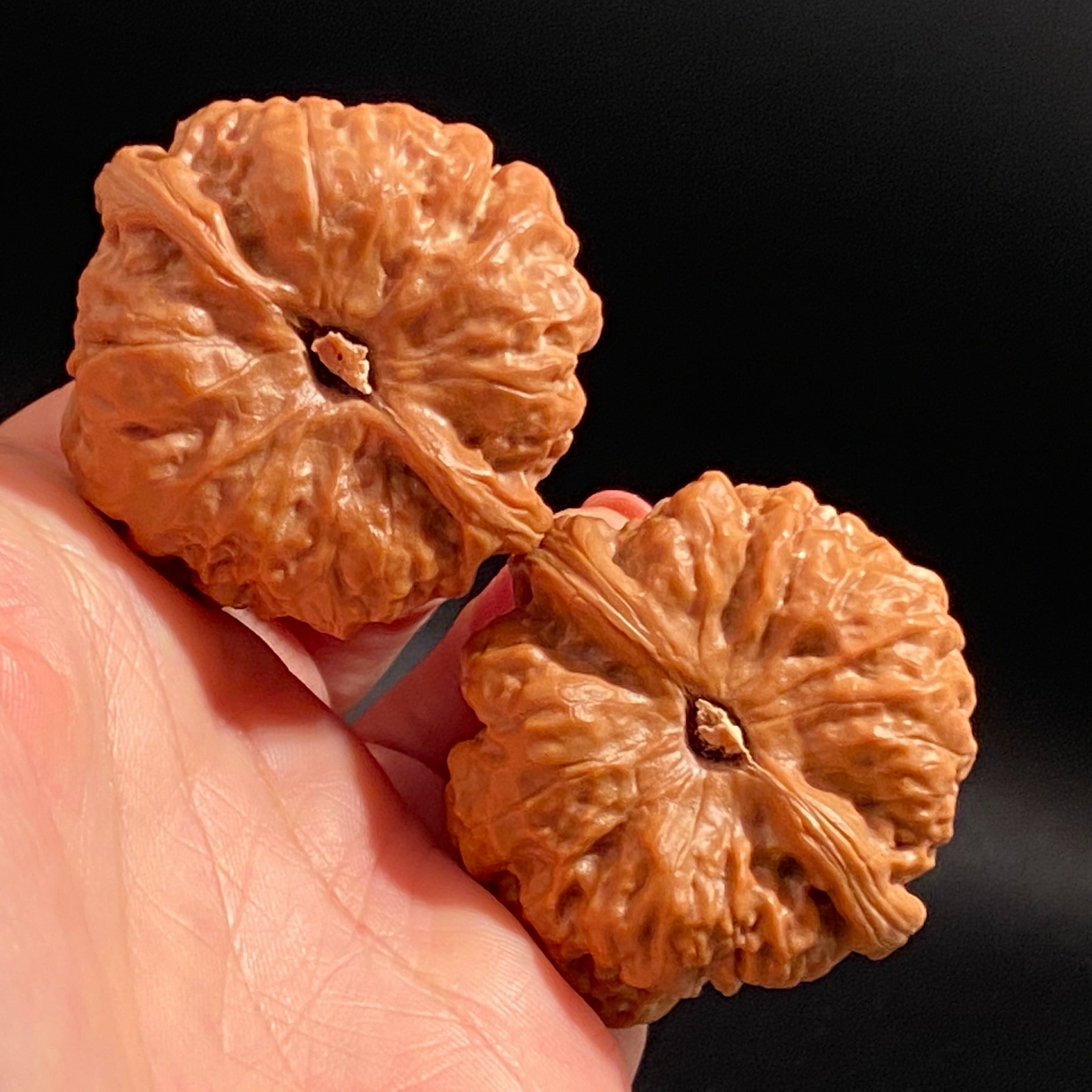 Yanqing Toad Head Playing Walnuts – Classic Popular Edition