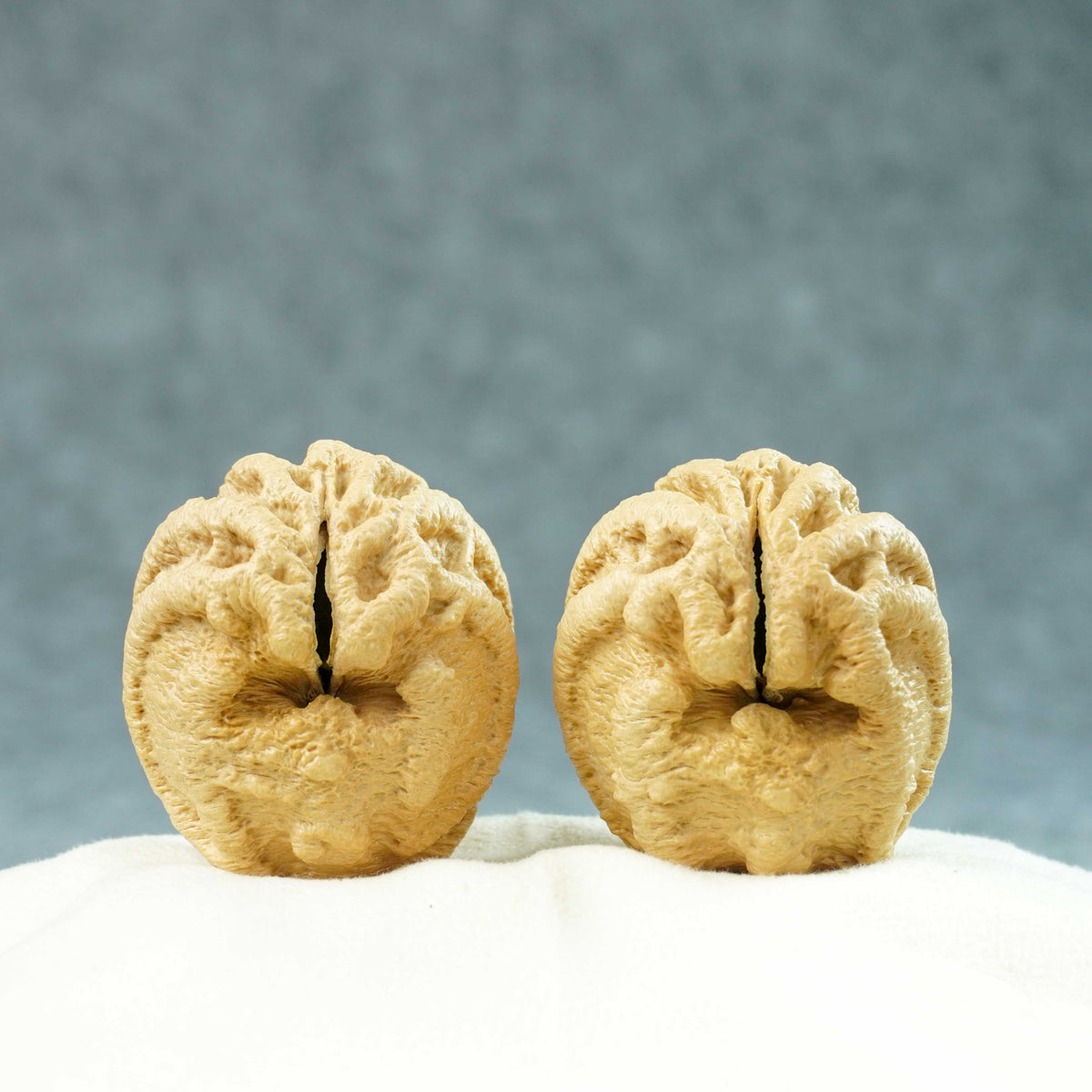 44mm Indonesian Qiankun Ghost Face Walnut | One-of-a-Kind Listing |100905
