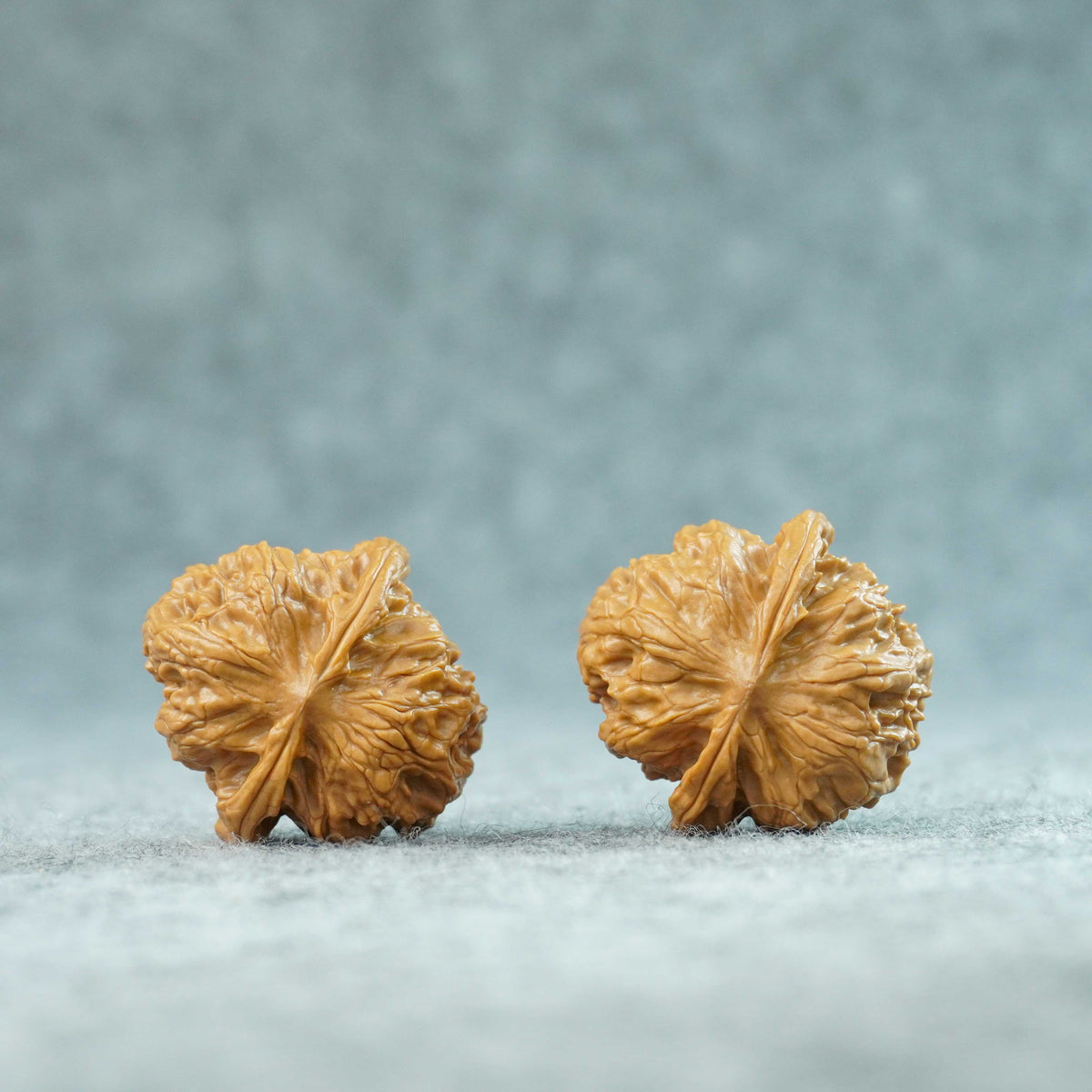 36mm Wild Wolf Walnut Pair | One-of-a-Kind Listing | 092314